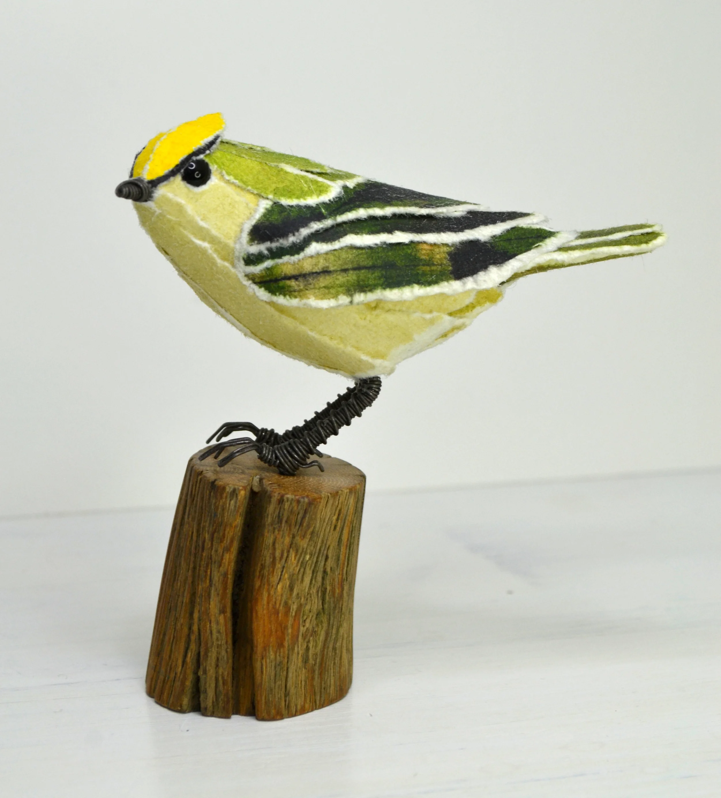 goldcrest 4.jpg