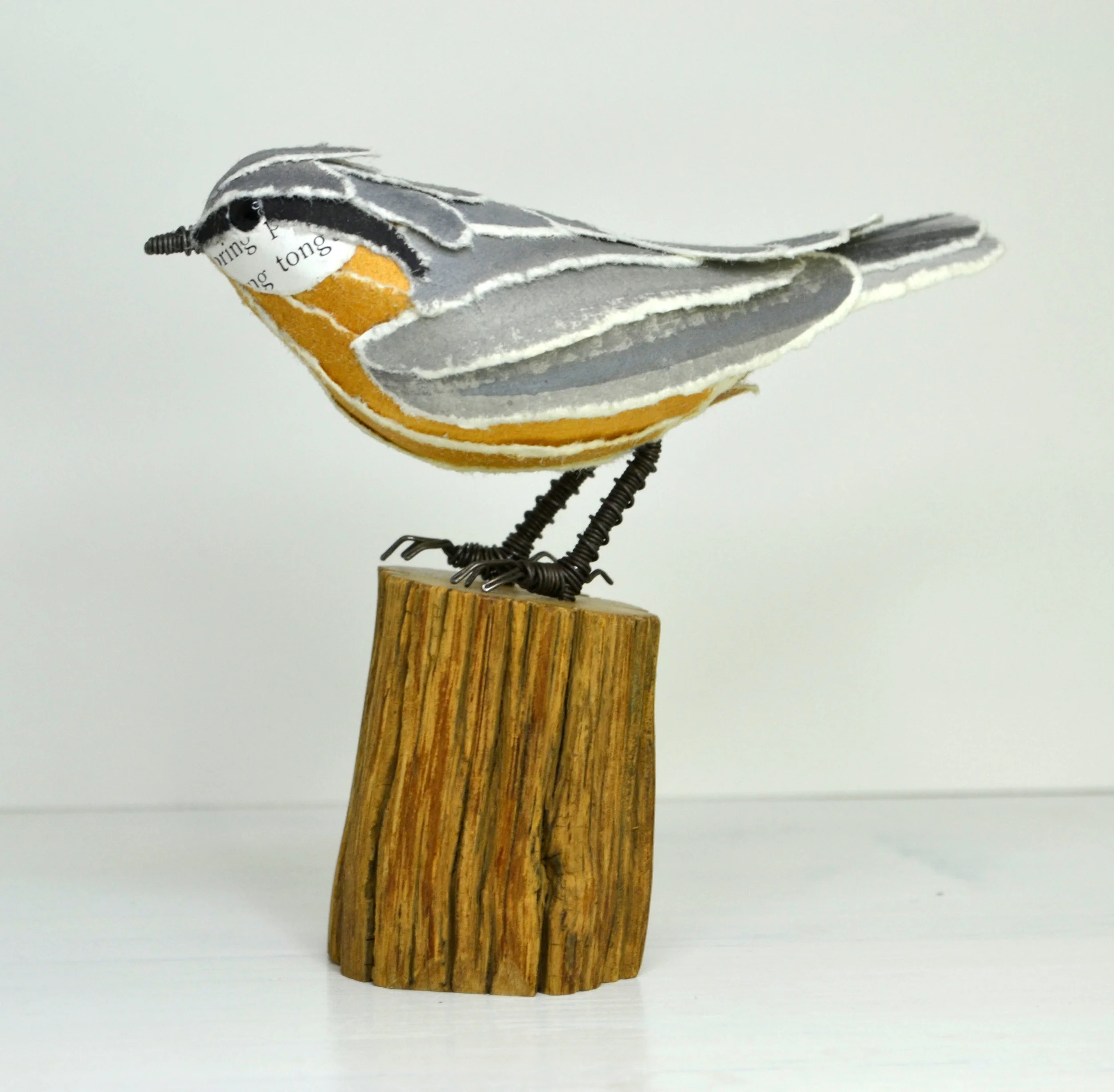 nuthatch 3.jpg