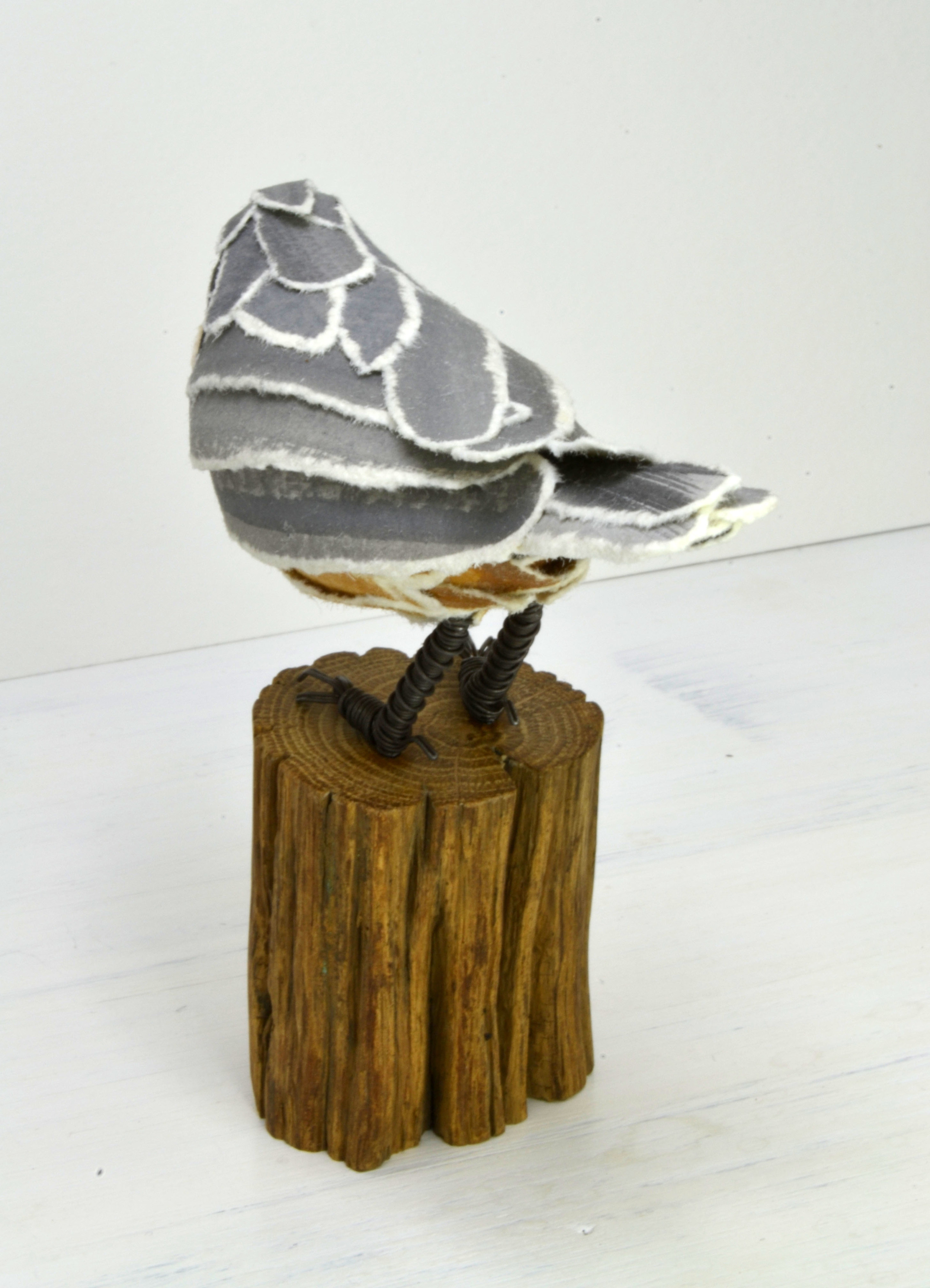nuthatch 4.jpg
