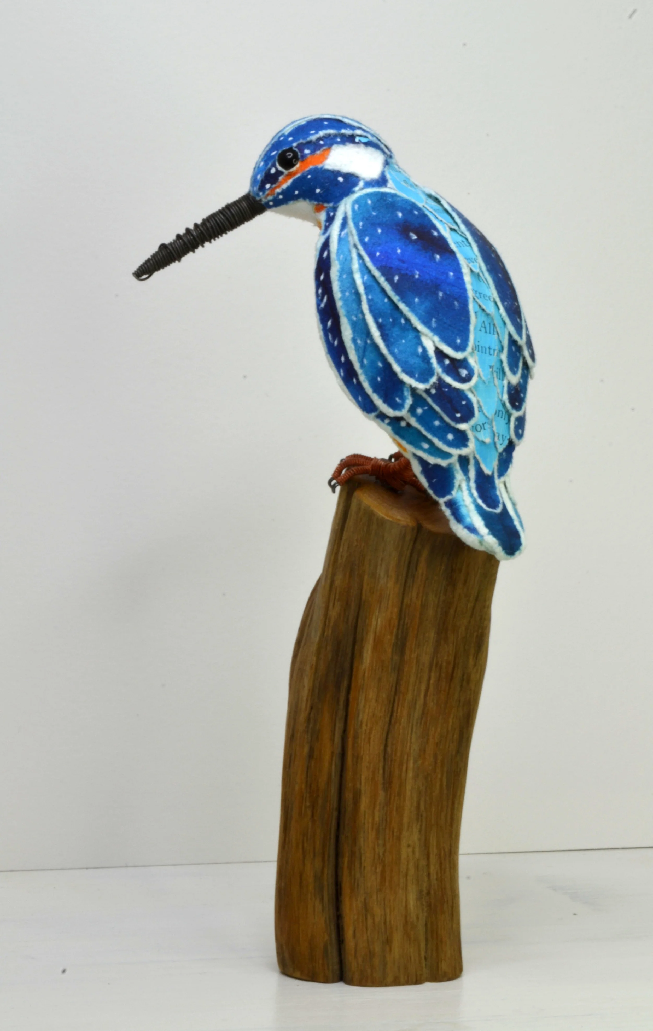 kingfisher 2.jpg