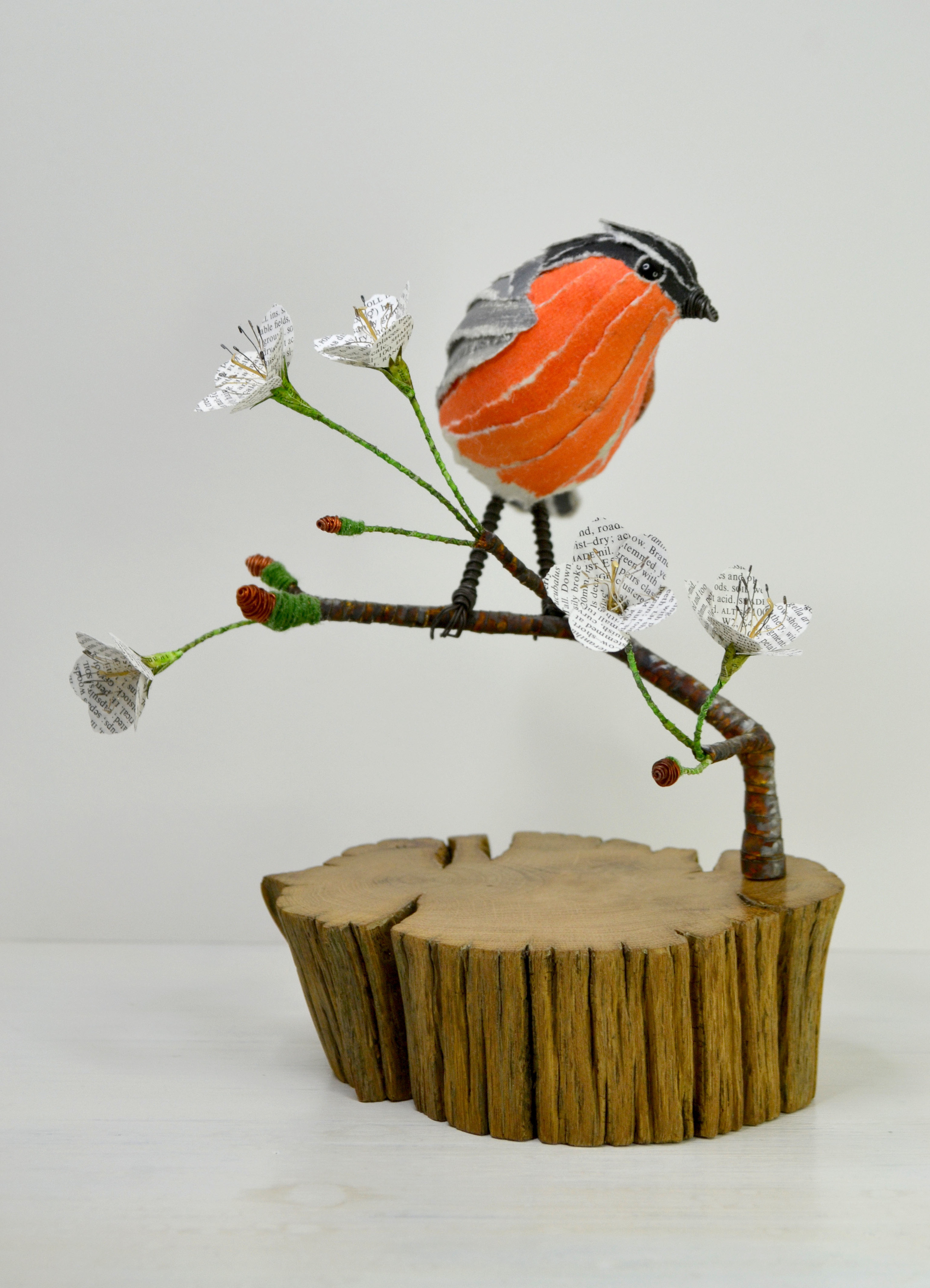 Bullfinch & Cherry Blossom