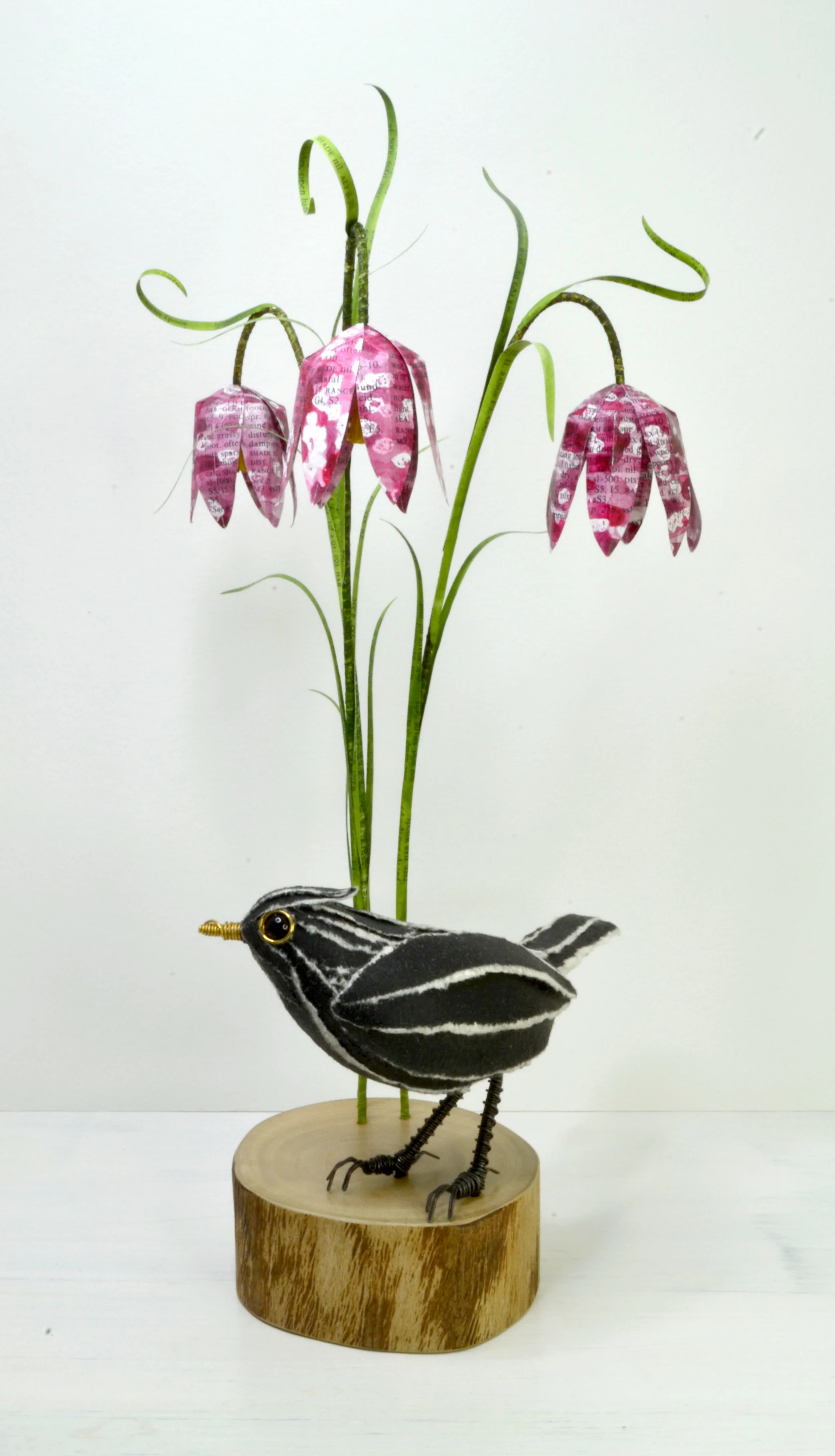 Blackbird & Frittillaries