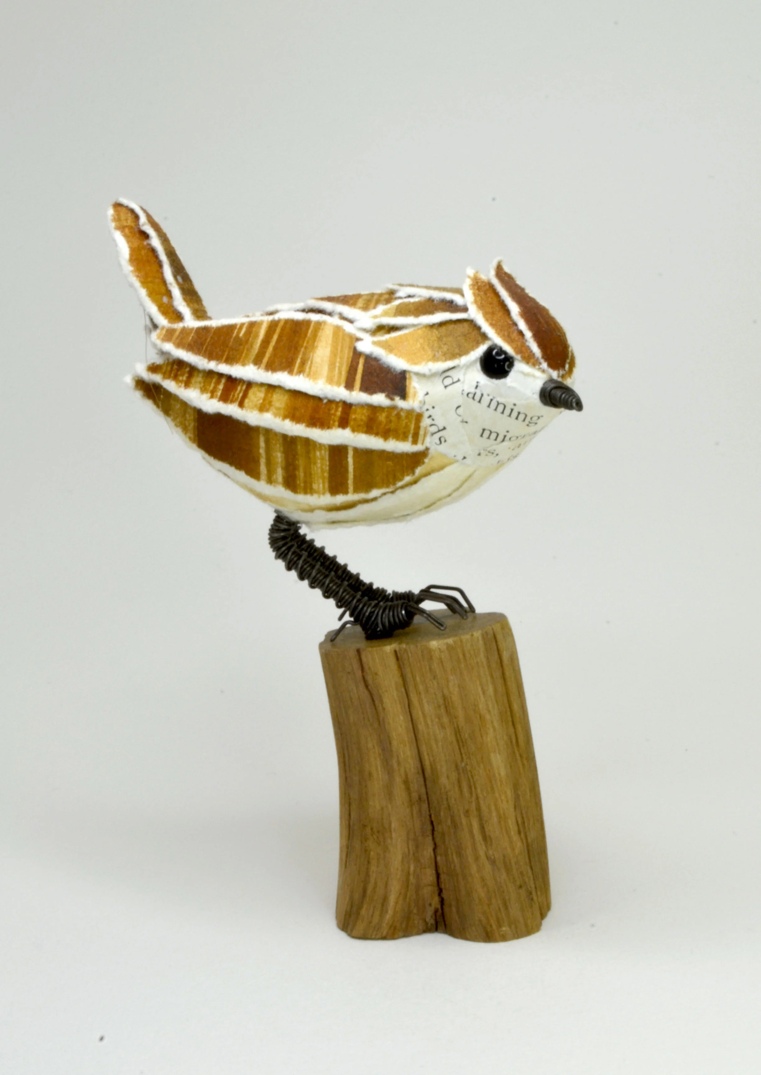 wren, £80.jpg