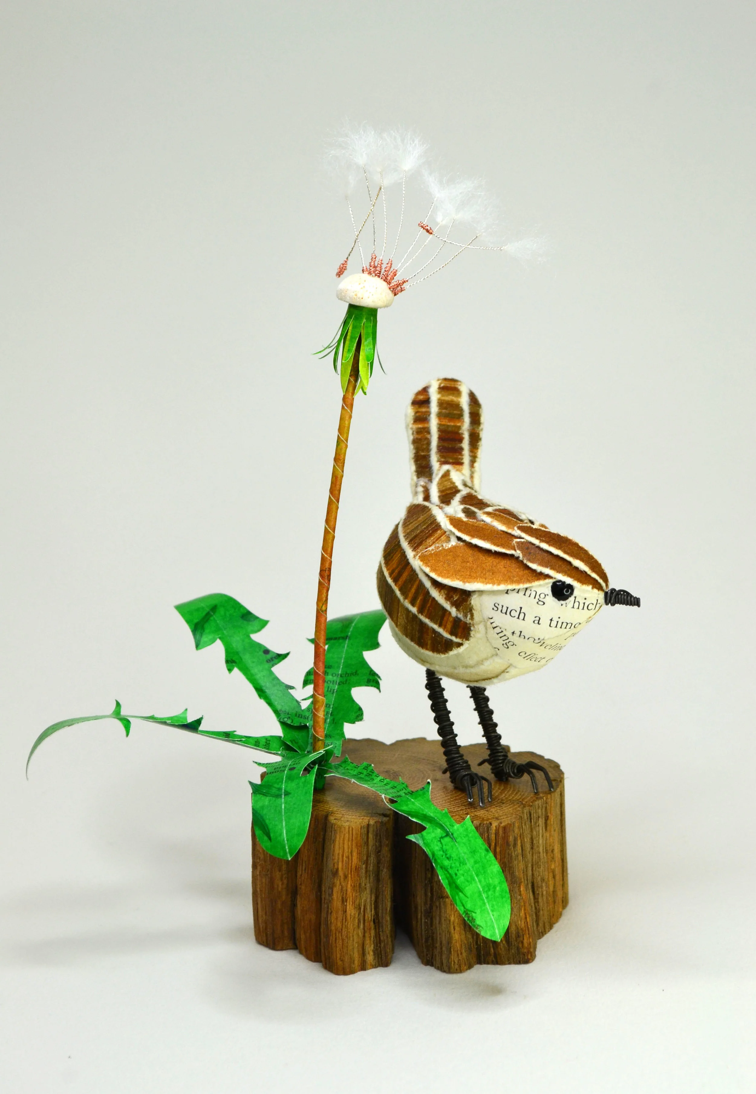 Wren & Dandelion