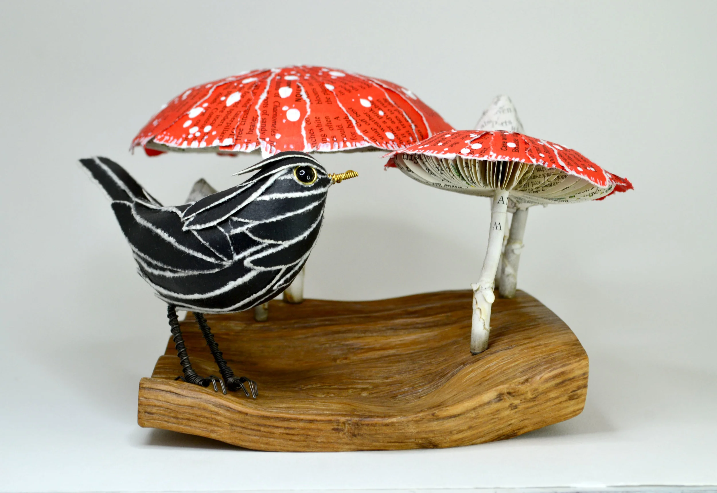 Blackbird & Fly Agaric