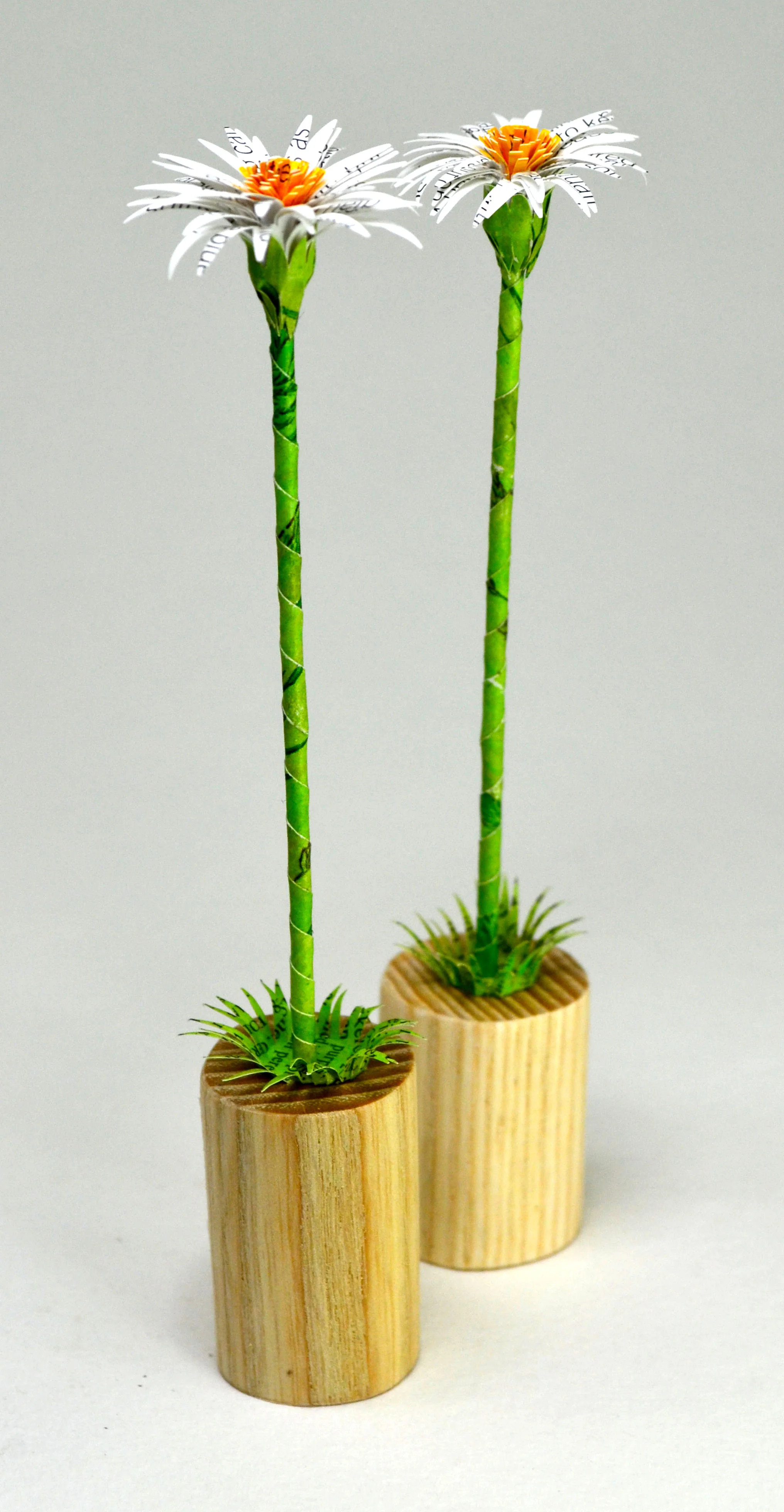 daisy woodlet, £20 each.jpg