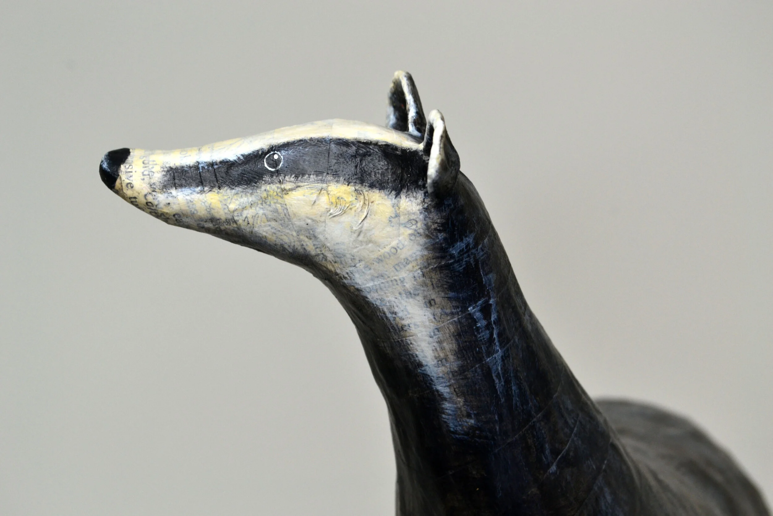 badger face 3.jpg