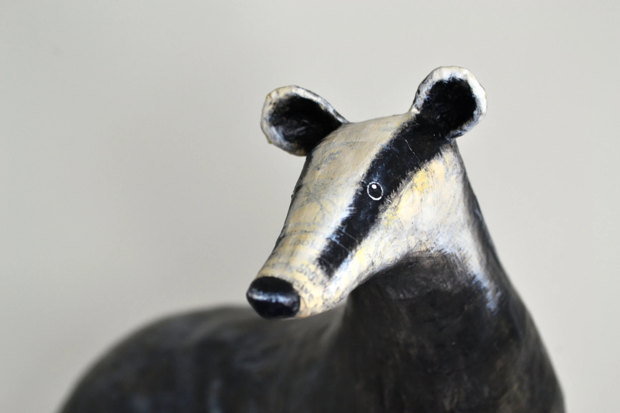 badger face.jpg