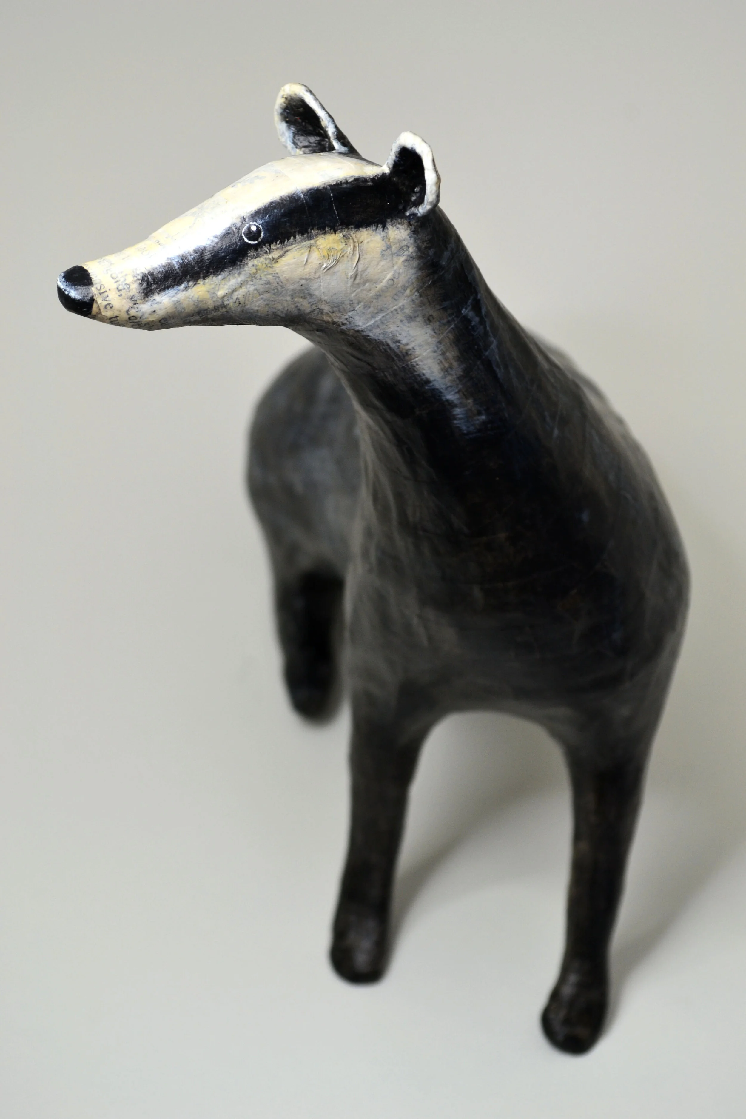 badger.jpg