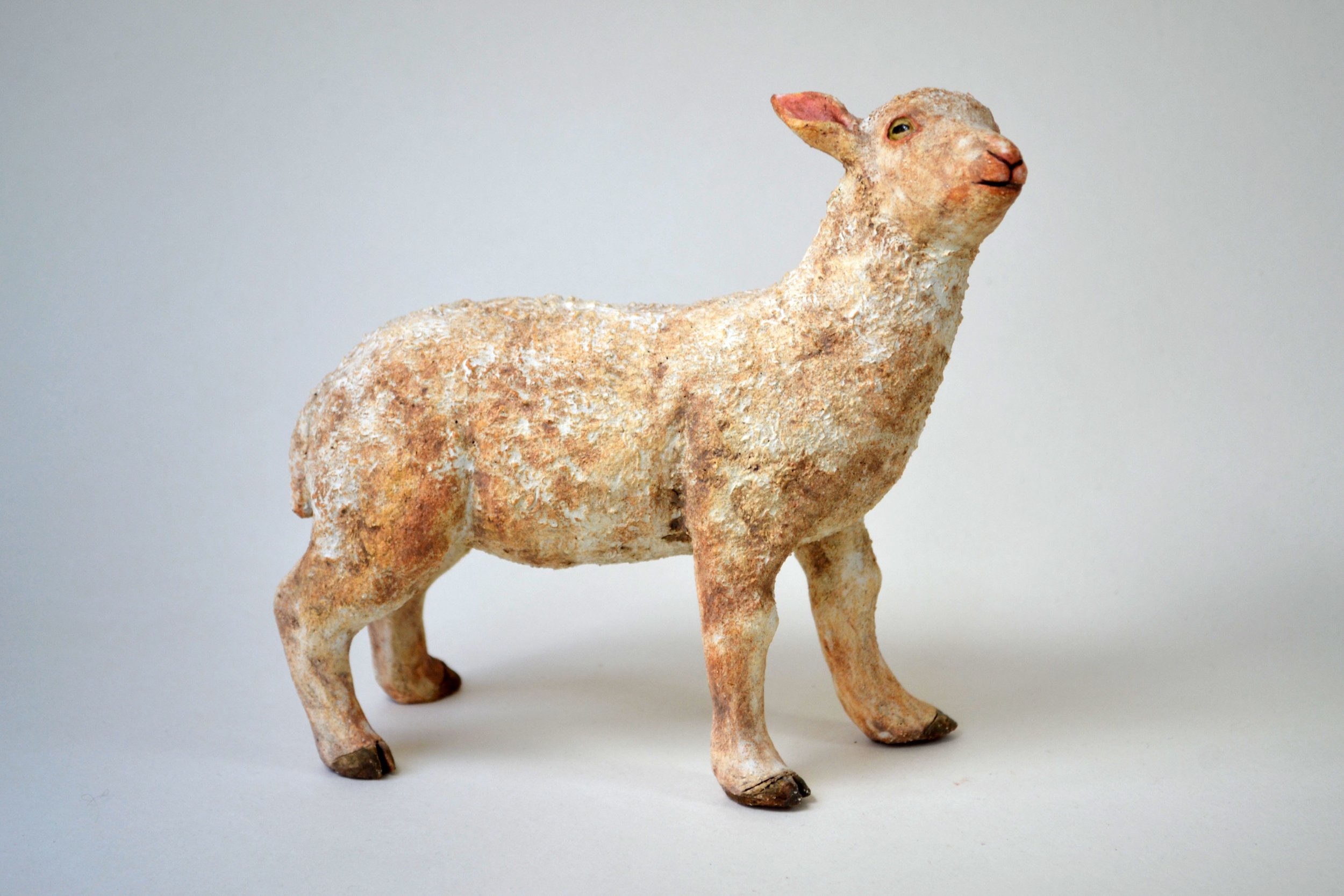 lamb2.jpg