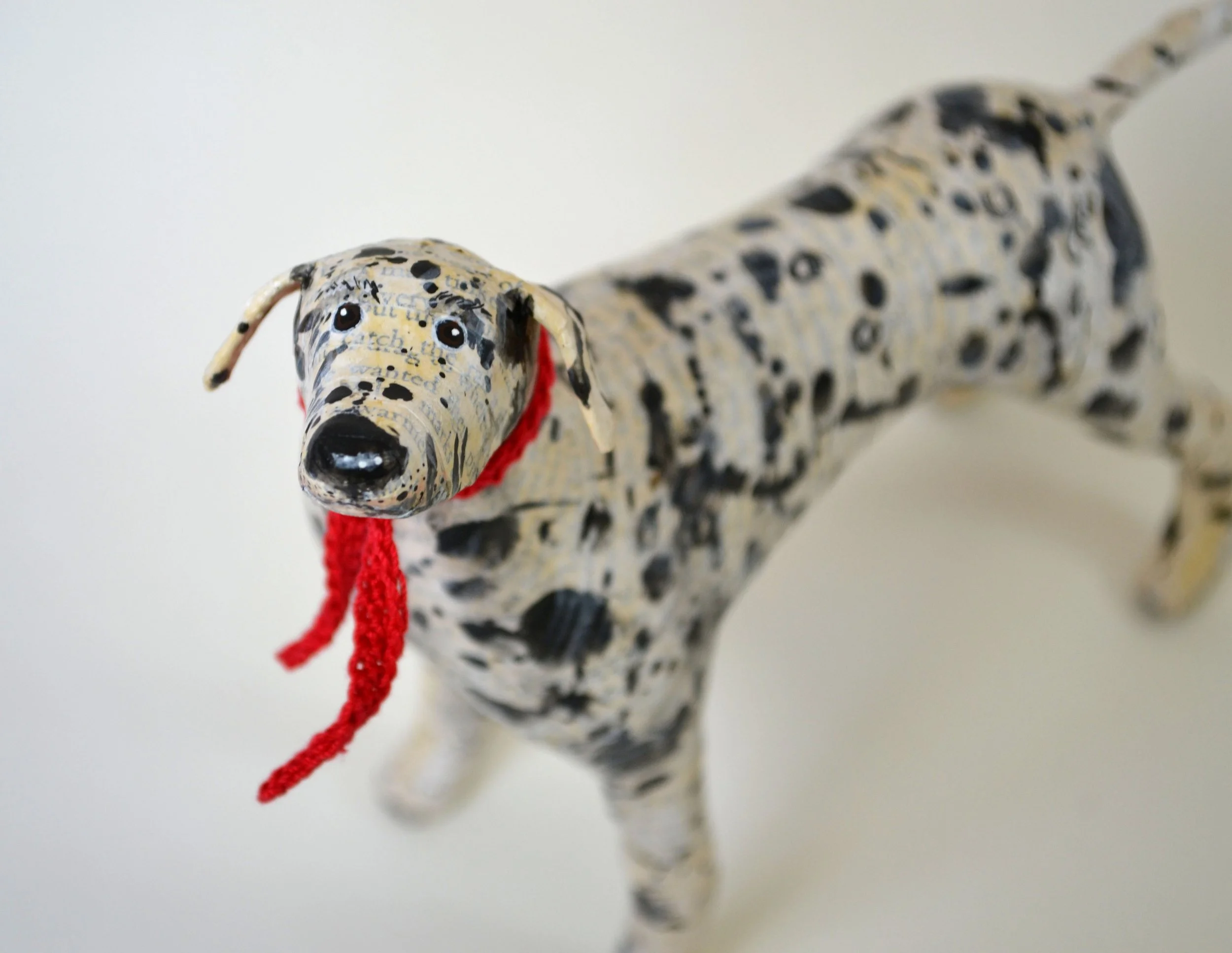 Dalmation 2025