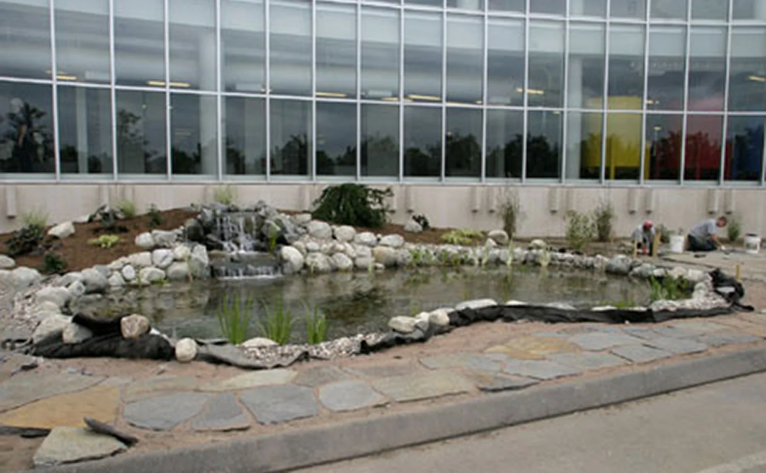 Springfield-pond.jpg