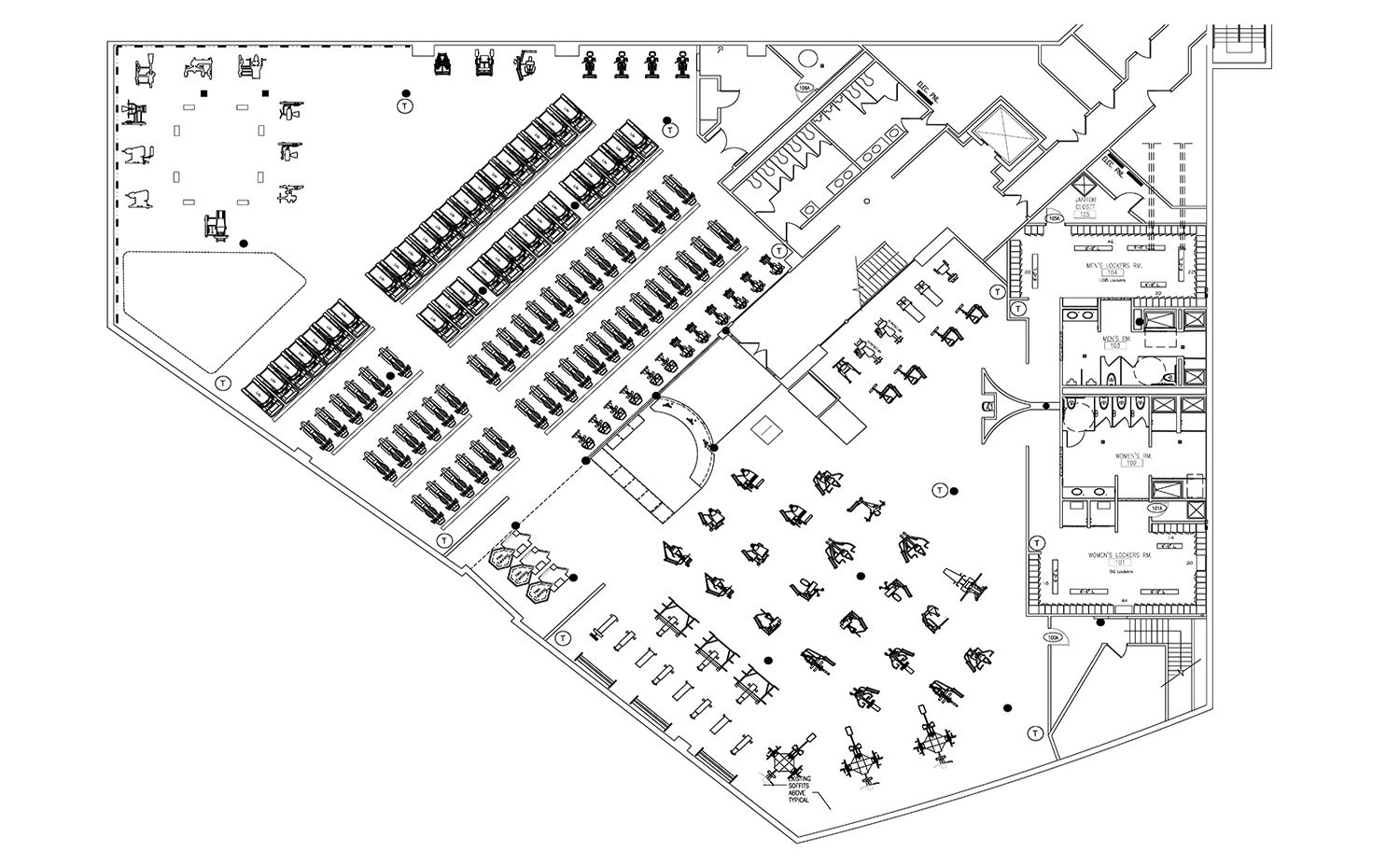 Cambridge, MA Fitness — Dario Designs Inc.