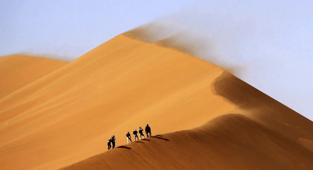 بيان للمبدعين المكافحين