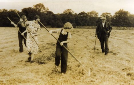 Making Hay!