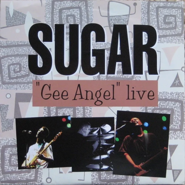 Sugar Gee Angel.jpg