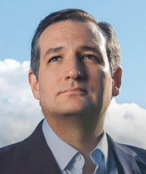 cruzeyebrows