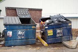 Parking Lot Dumpster Squirrels