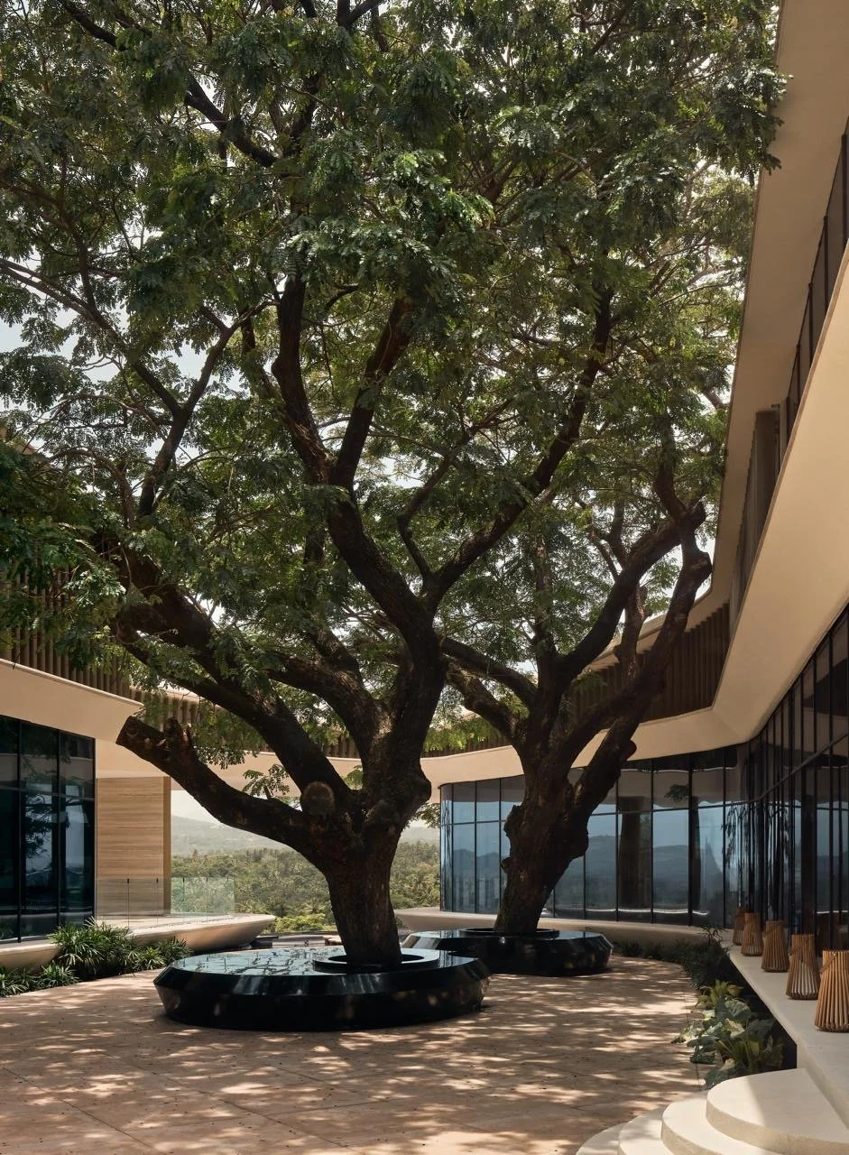 Tulah wellness clinic interior design - outdoor courtyard with mature tree and circular bench