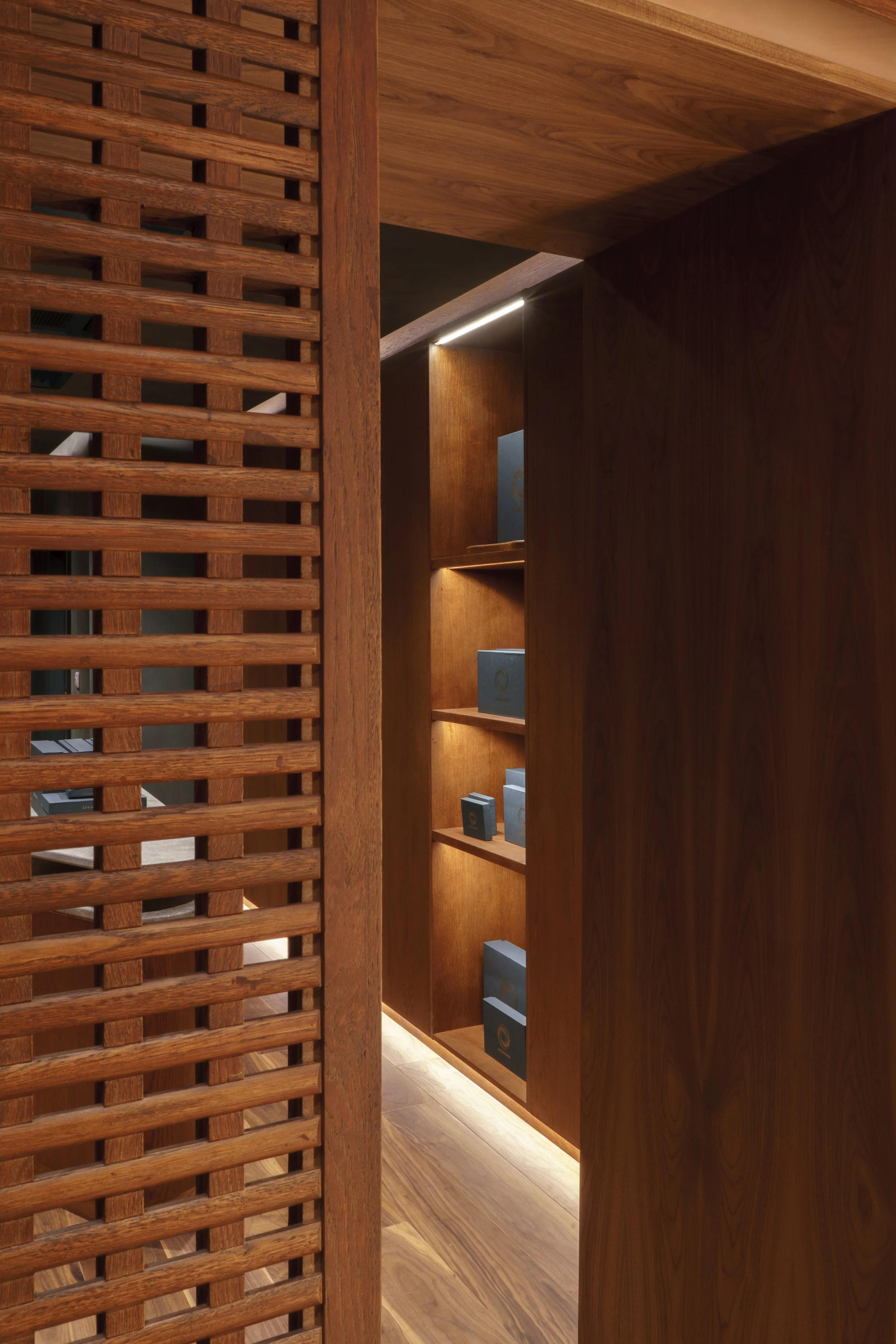 Aranyani luxury retail interior design - lower ground floor portrait with vivid terracotta tones