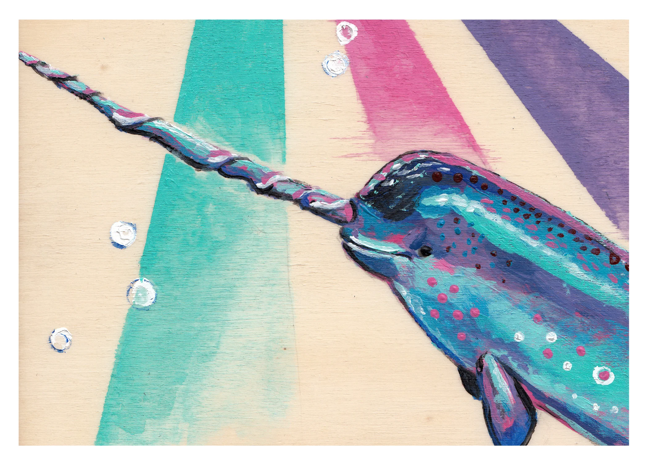 narwhal.jpg