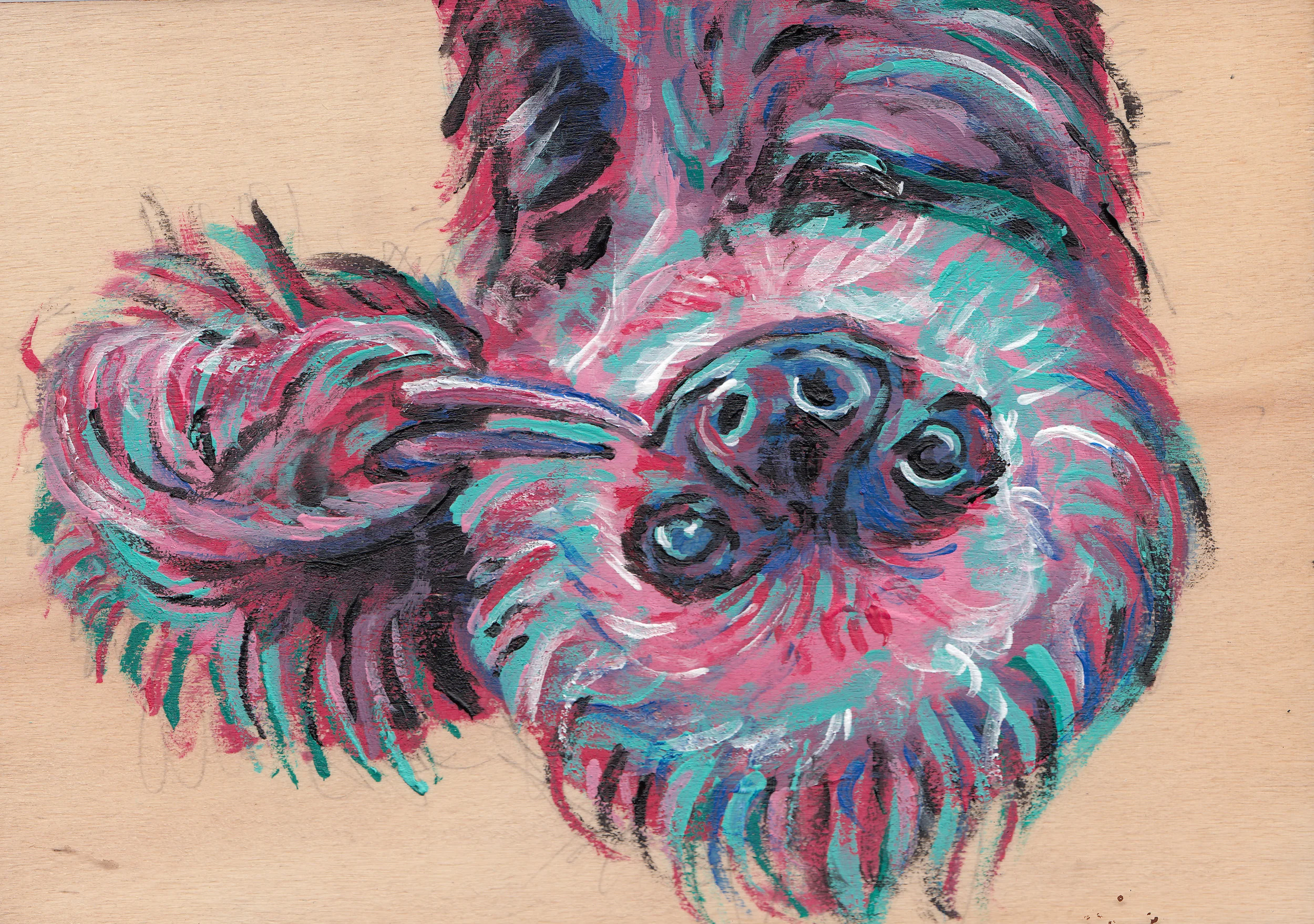 sloth inprint.jpg