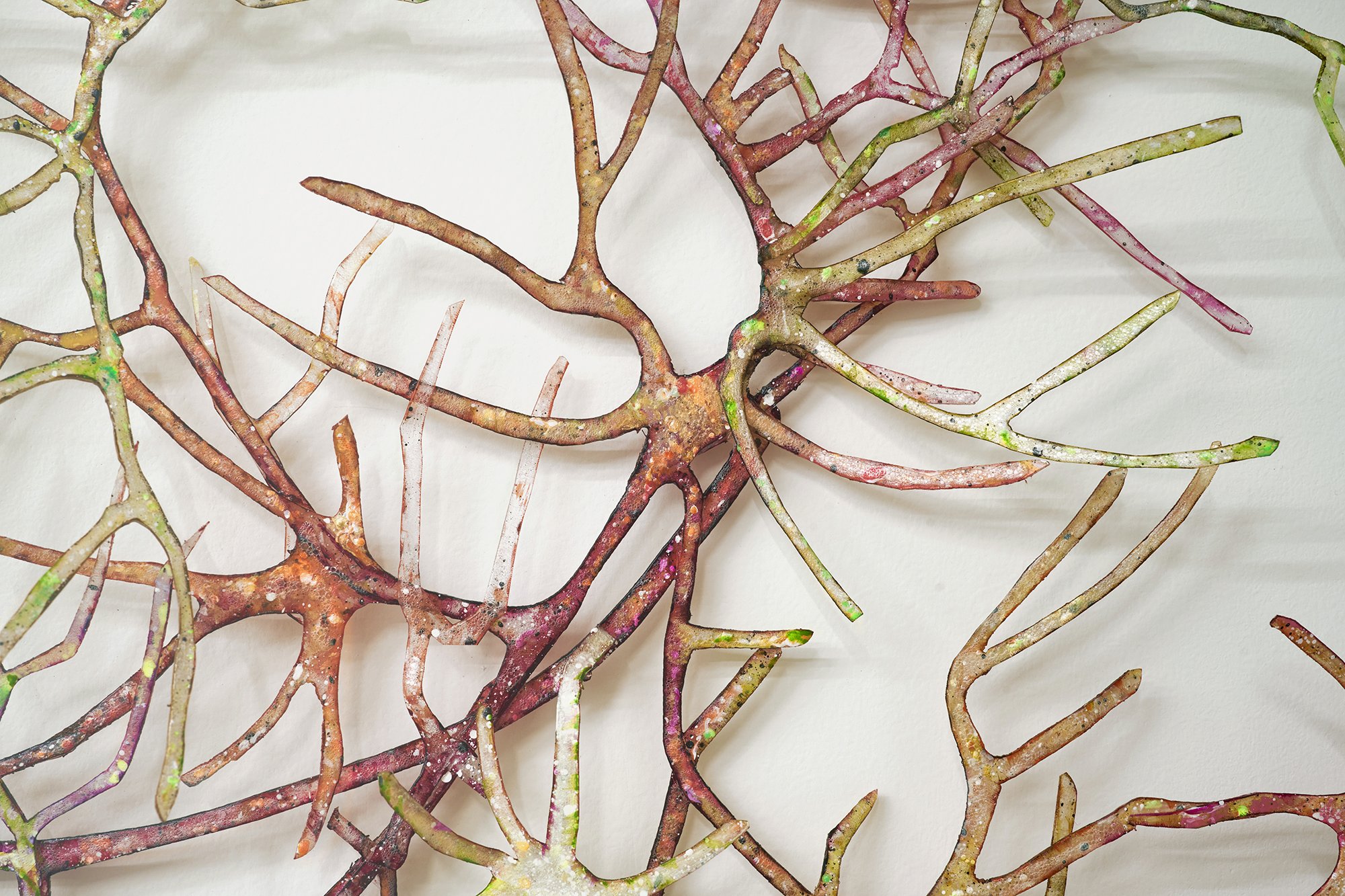WEB_Mycelium Mapping_Det_1.jpg
