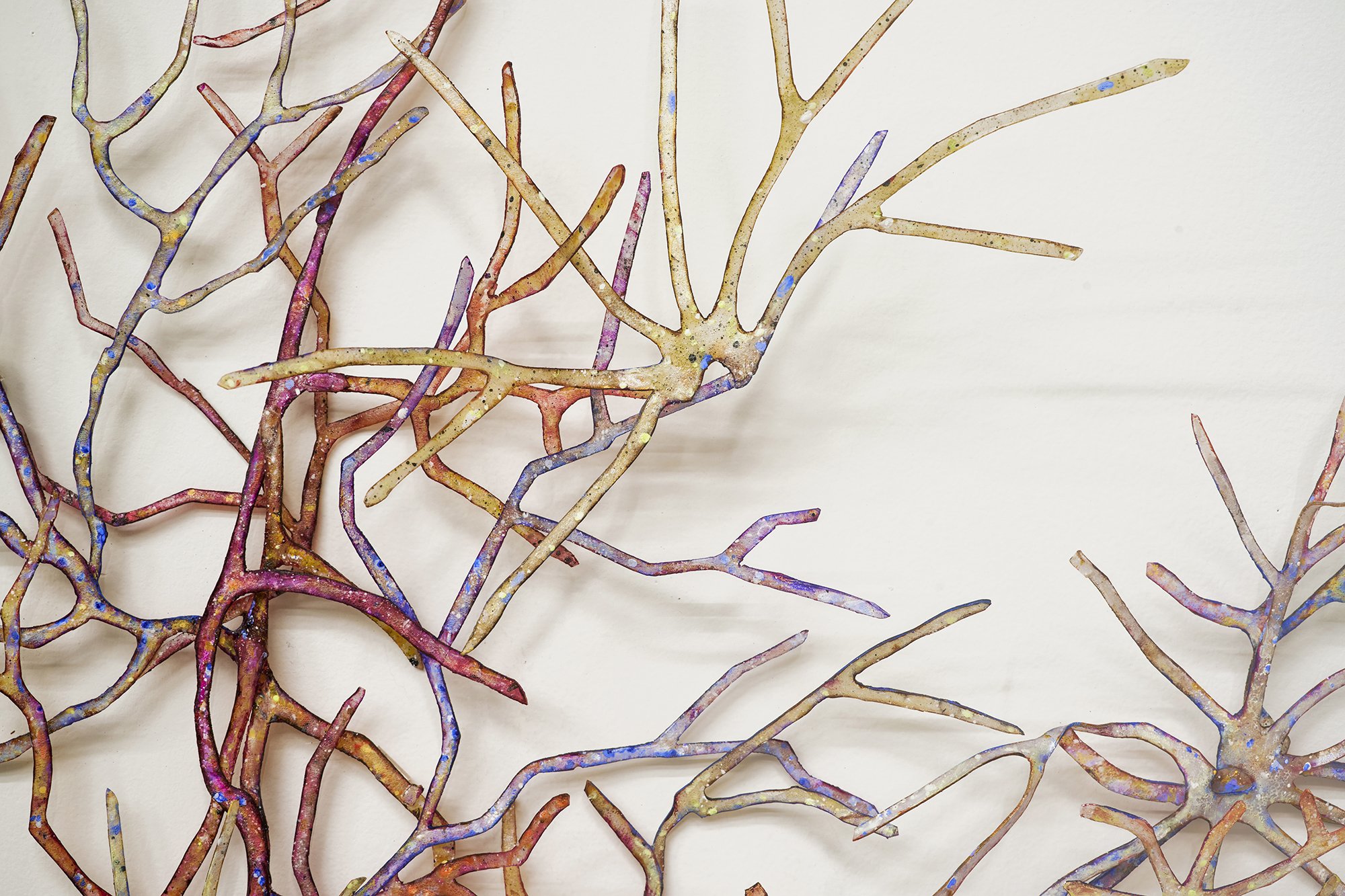 WEB_Mycelium Mapping_Det_2.jpg
