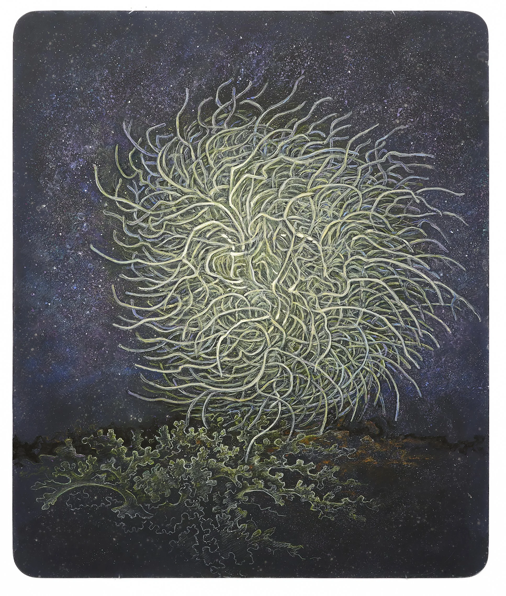 Margaret Smithers-Crump_Stars_and_Spores_Forever_No.jpg