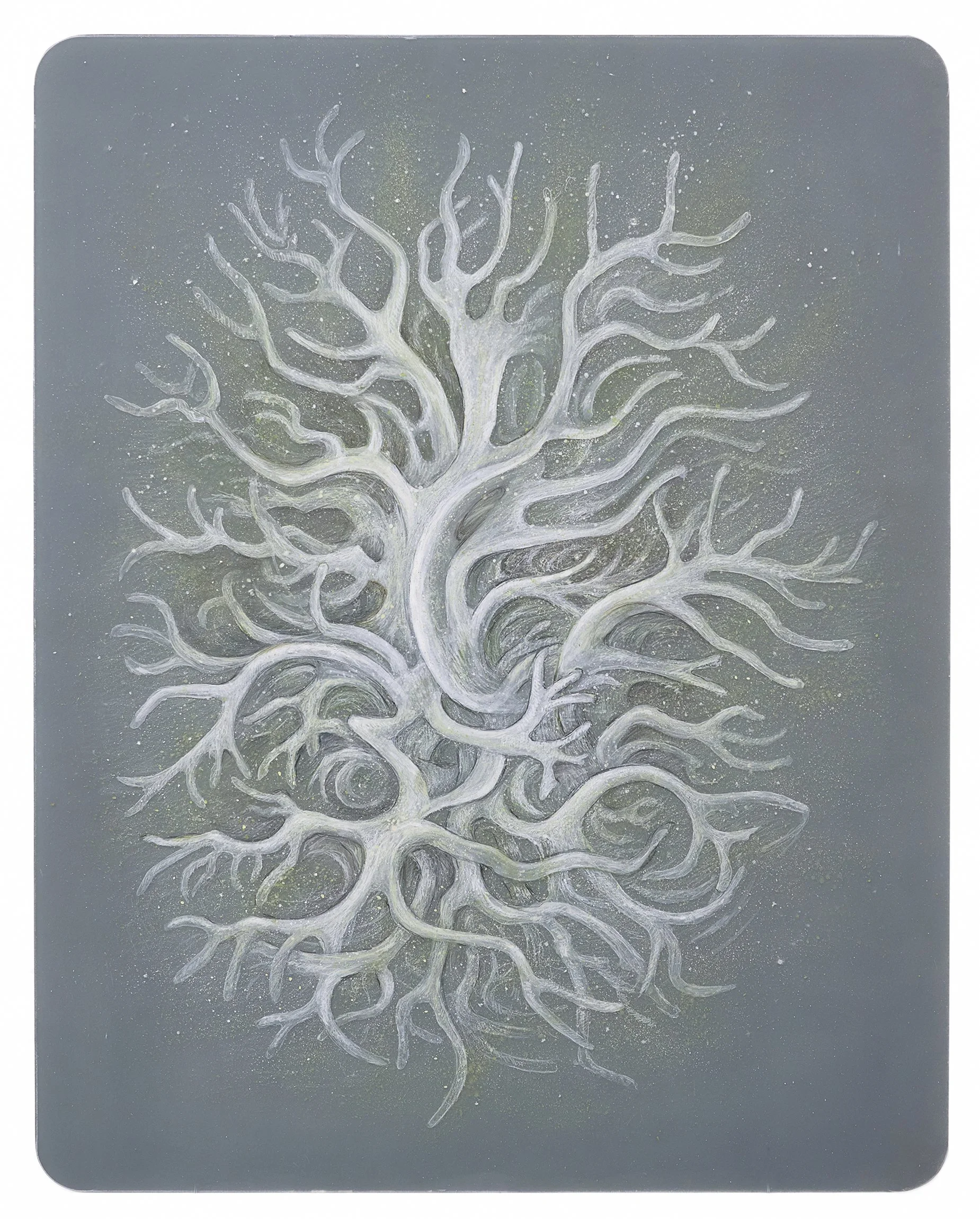 Margaret Smithers-Crump_Stardust, Seeds and Spores.jpg