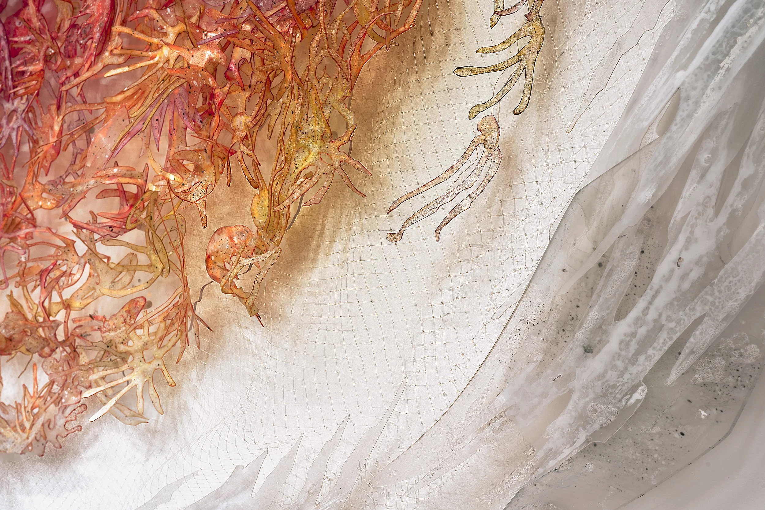 Code_Blue_Detail_Fish_Net _WEB.jpg