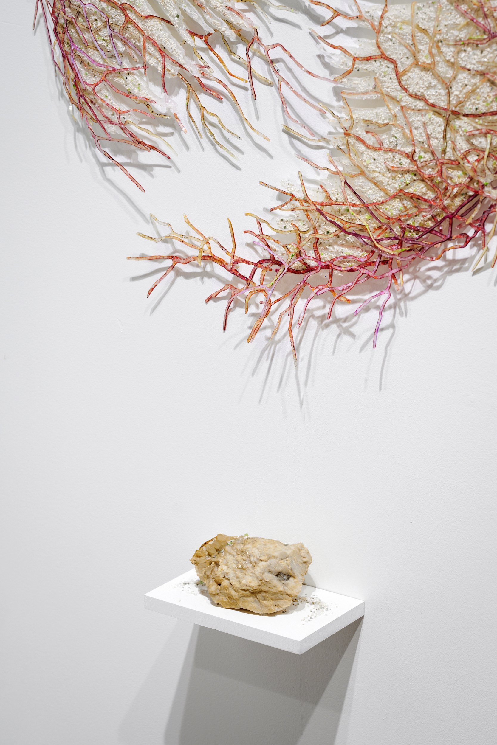 MSC_Tapestries of Kinship_exhibition_37 copy.jpg