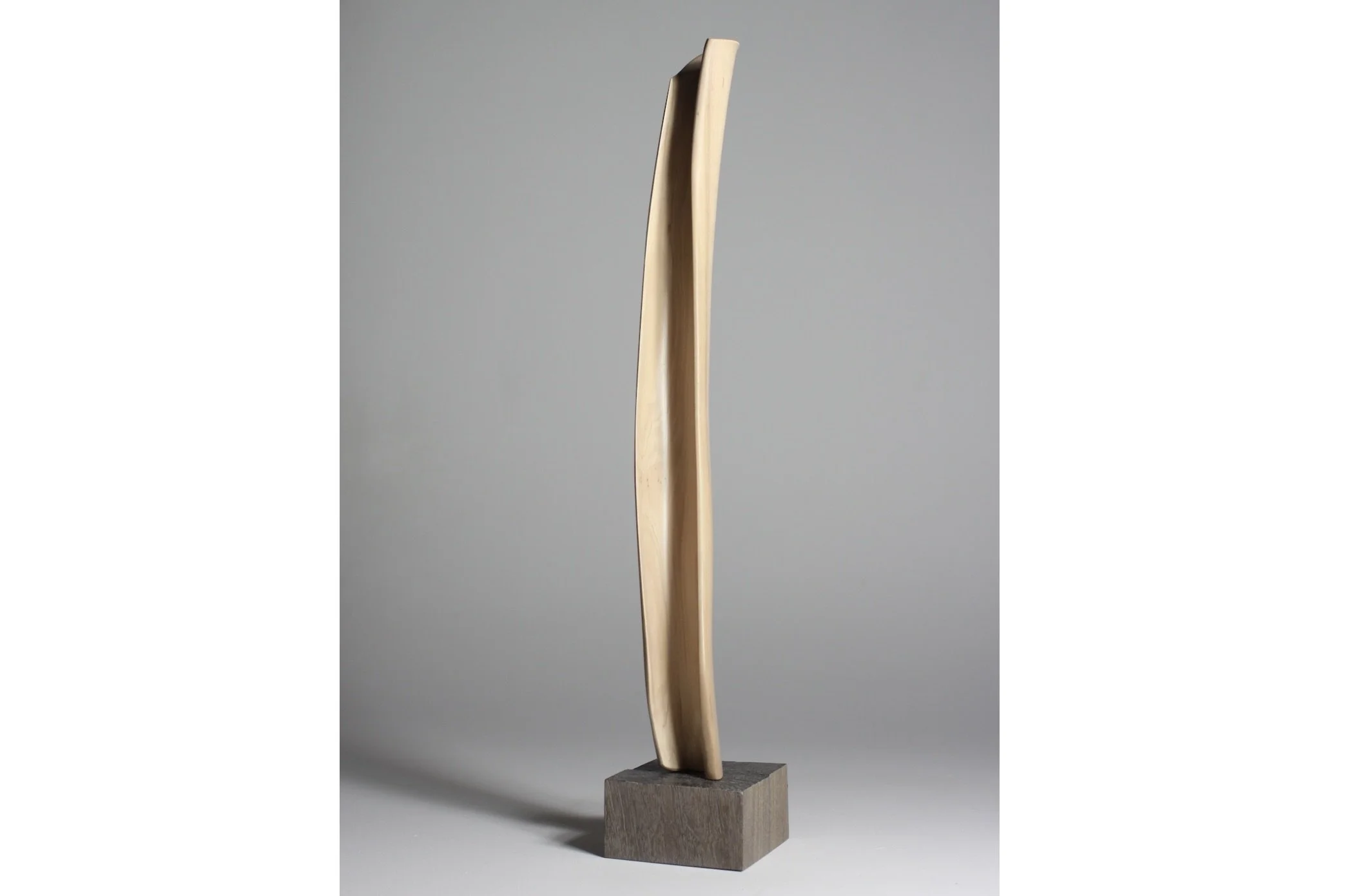 Screenshot 2023-02-06 at 7.36.07 AM.jpeg