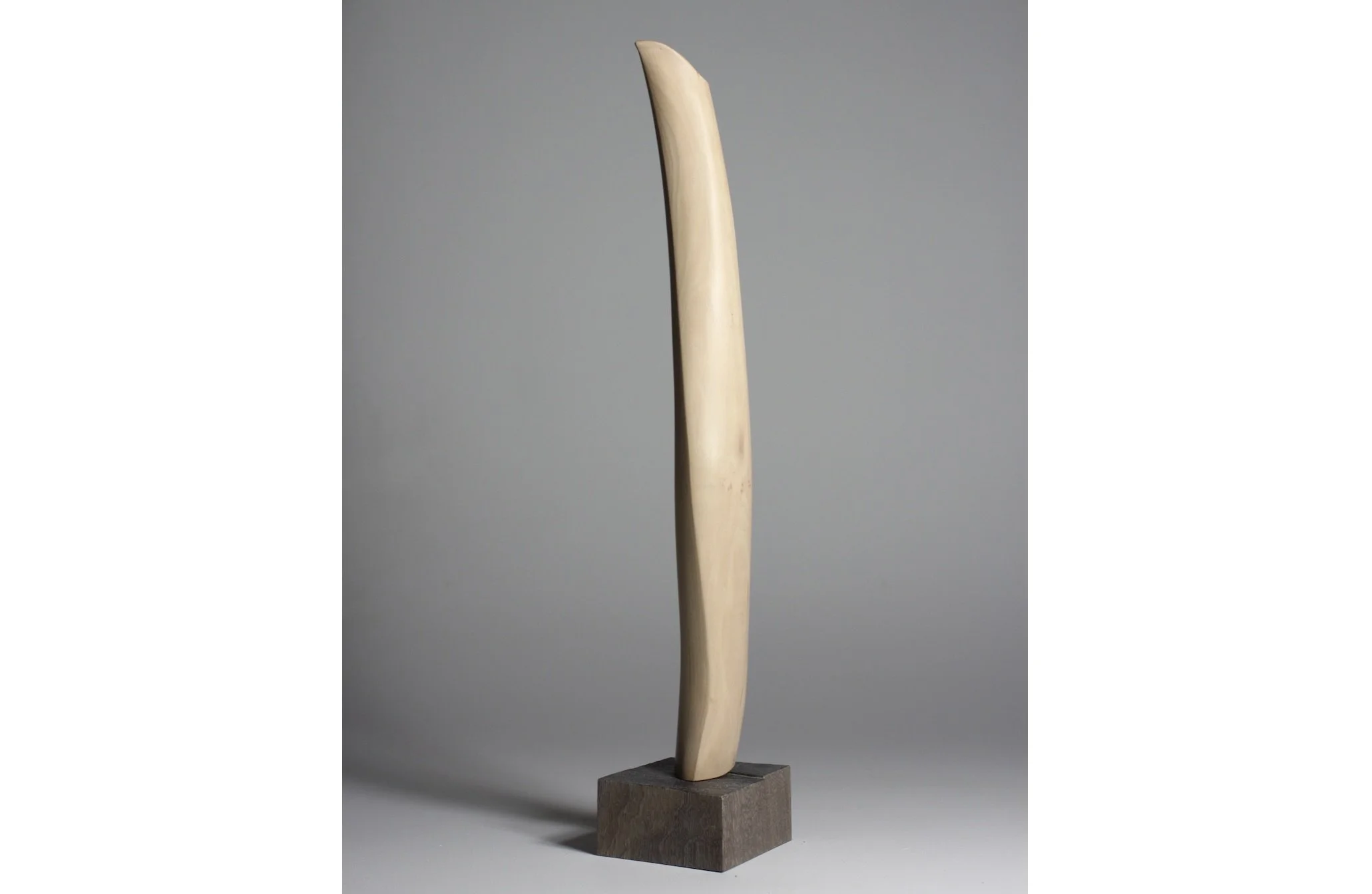 Screenshot 2023-02-06 at 8.00.40 AM.jpeg