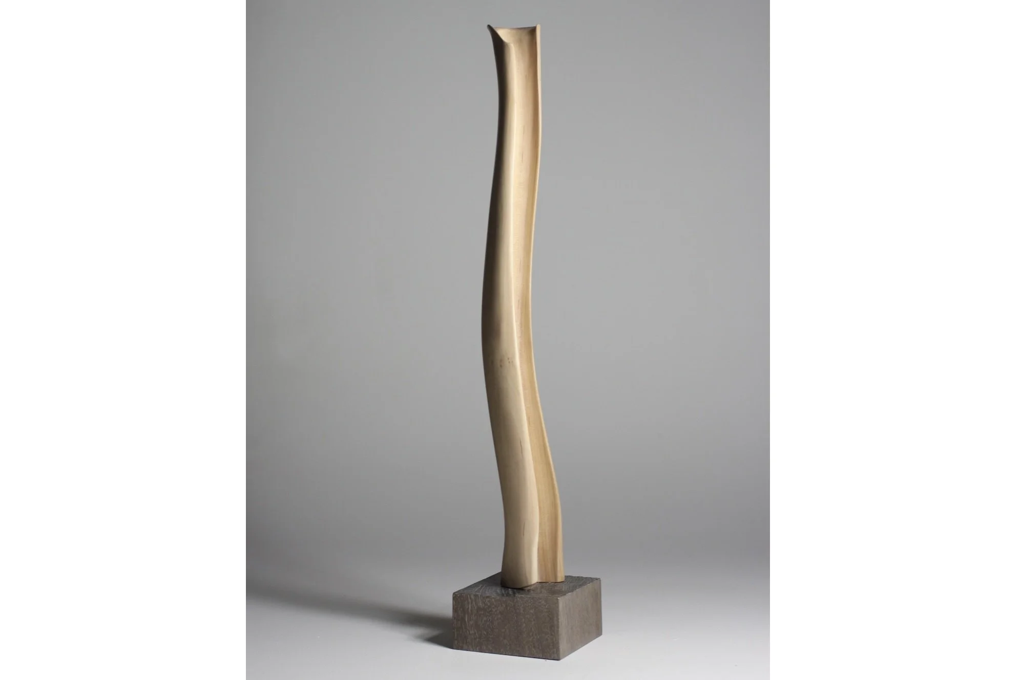 Screenshot 2023-02-06 at 8.00.53 AM.jpeg