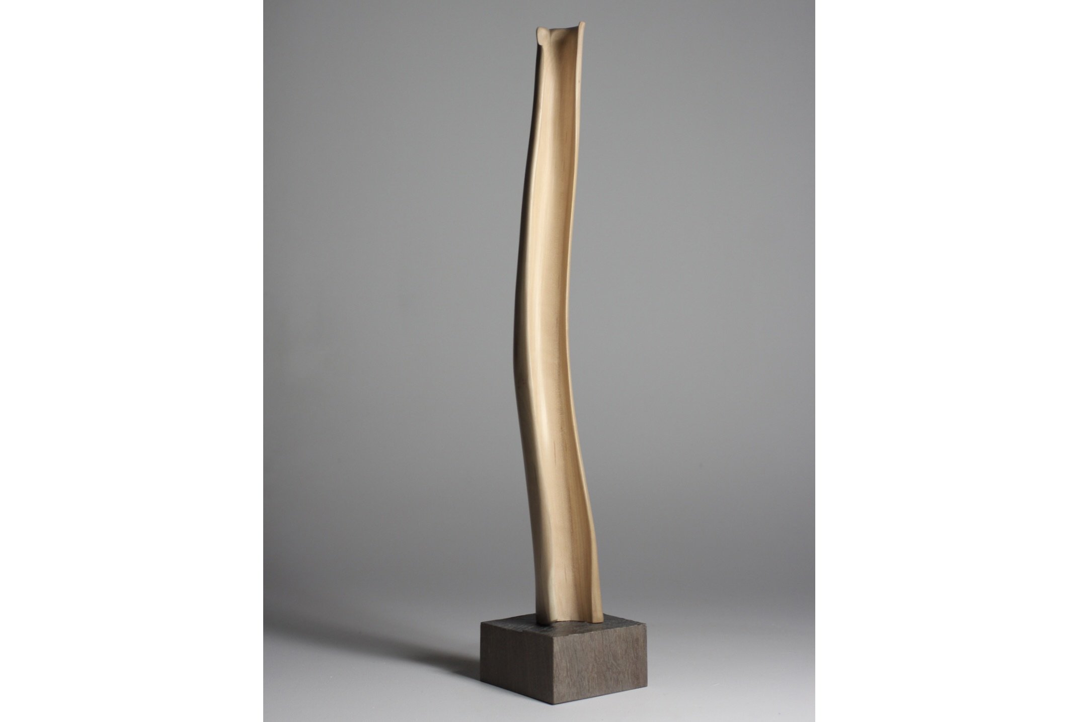 Screenshot 2023-02-06 at 7.59.57 AM.jpeg