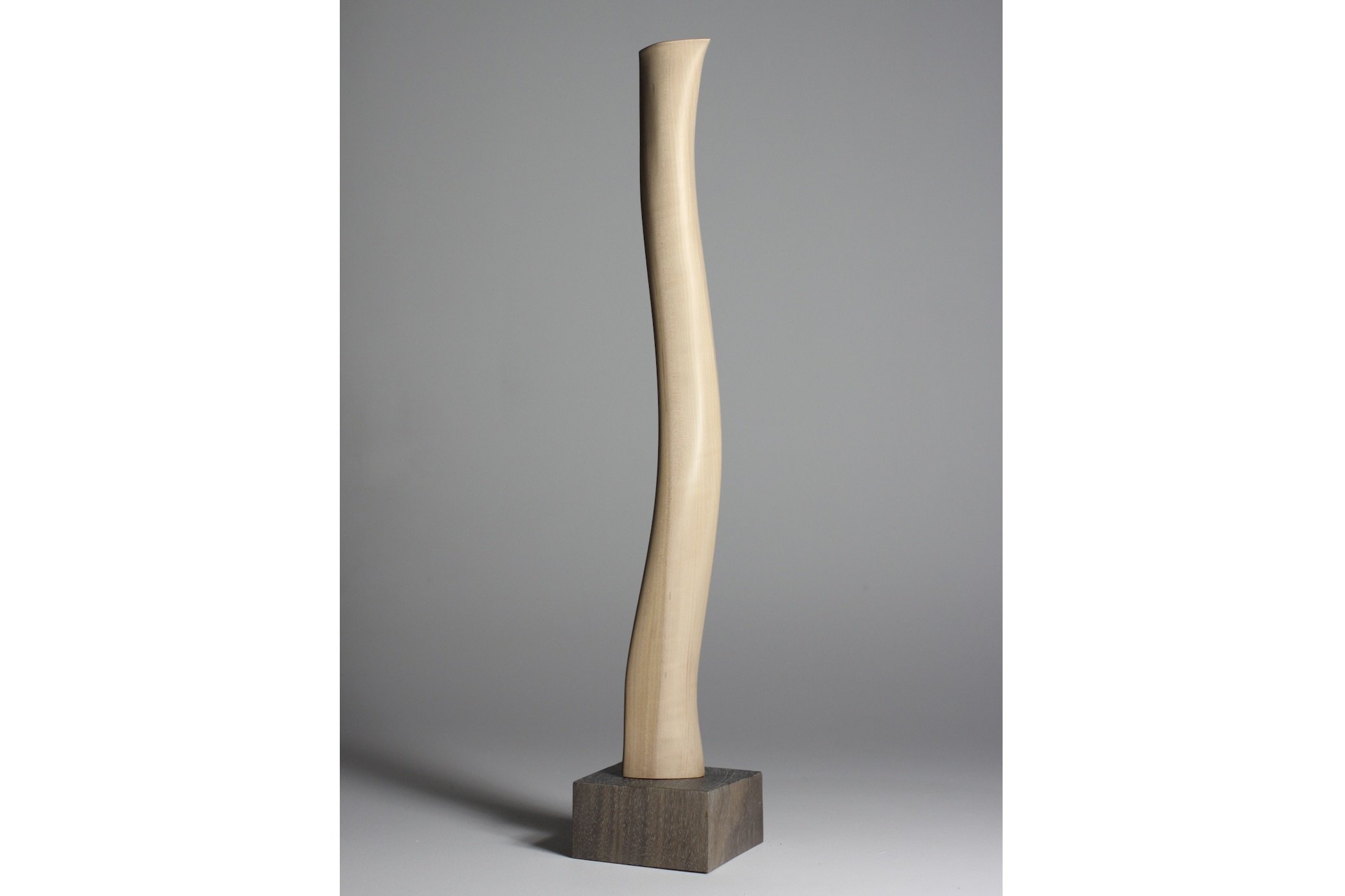 Screenshot 2023-02-06 at 8.00.18 AM.jpeg