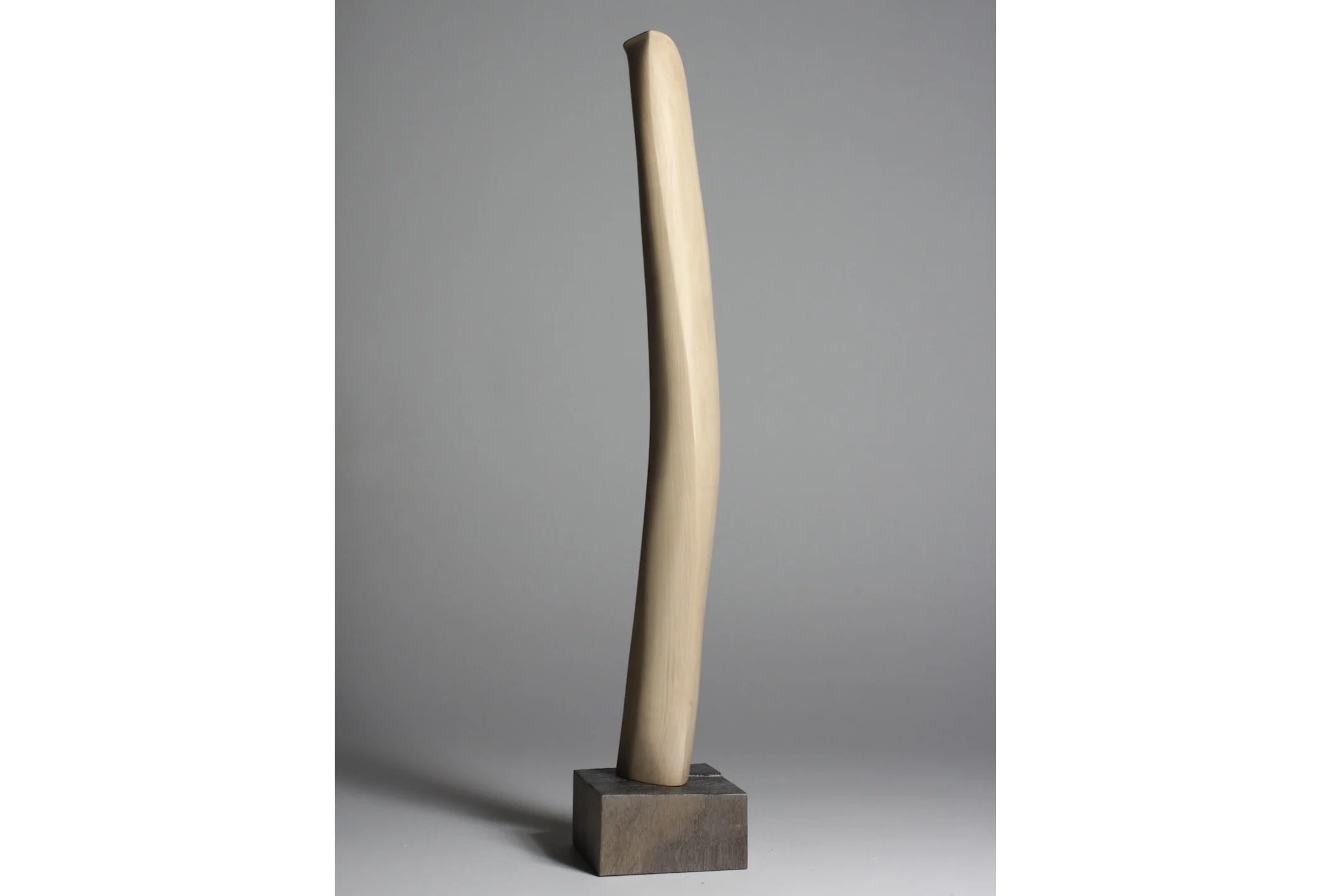 Screenshot 2023-02-06 at 8.00.26 AM.jpeg