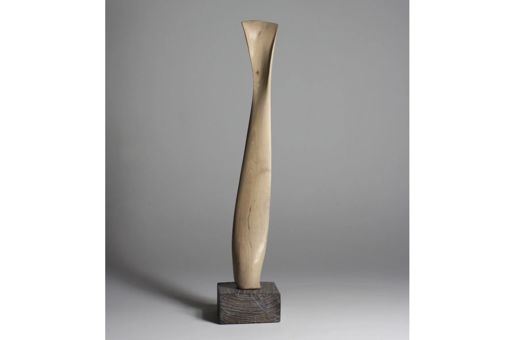 Screenshot 2023-02-06 at 8.14.14 AM.jpeg