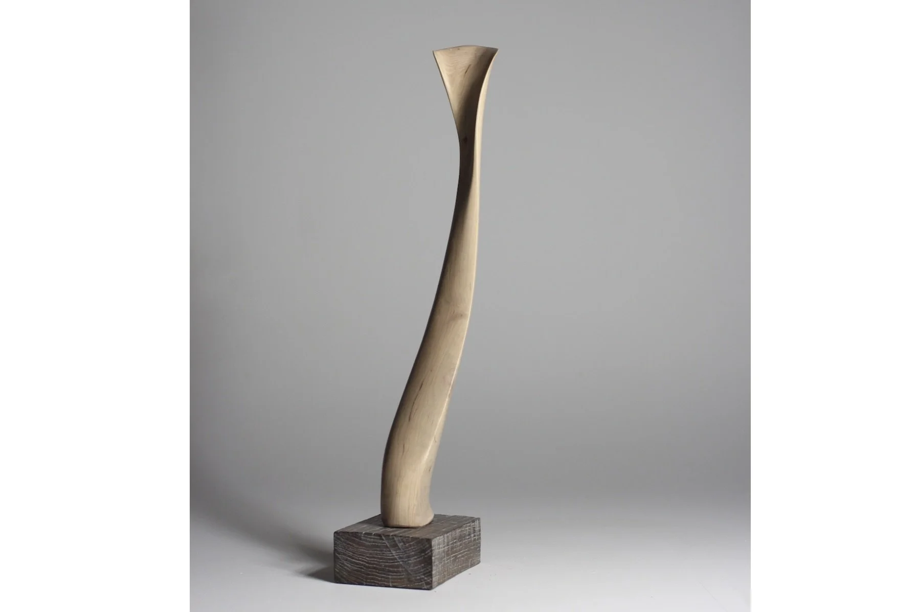 Screenshot 2023-02-06 at 8.14.26 AM.jpeg