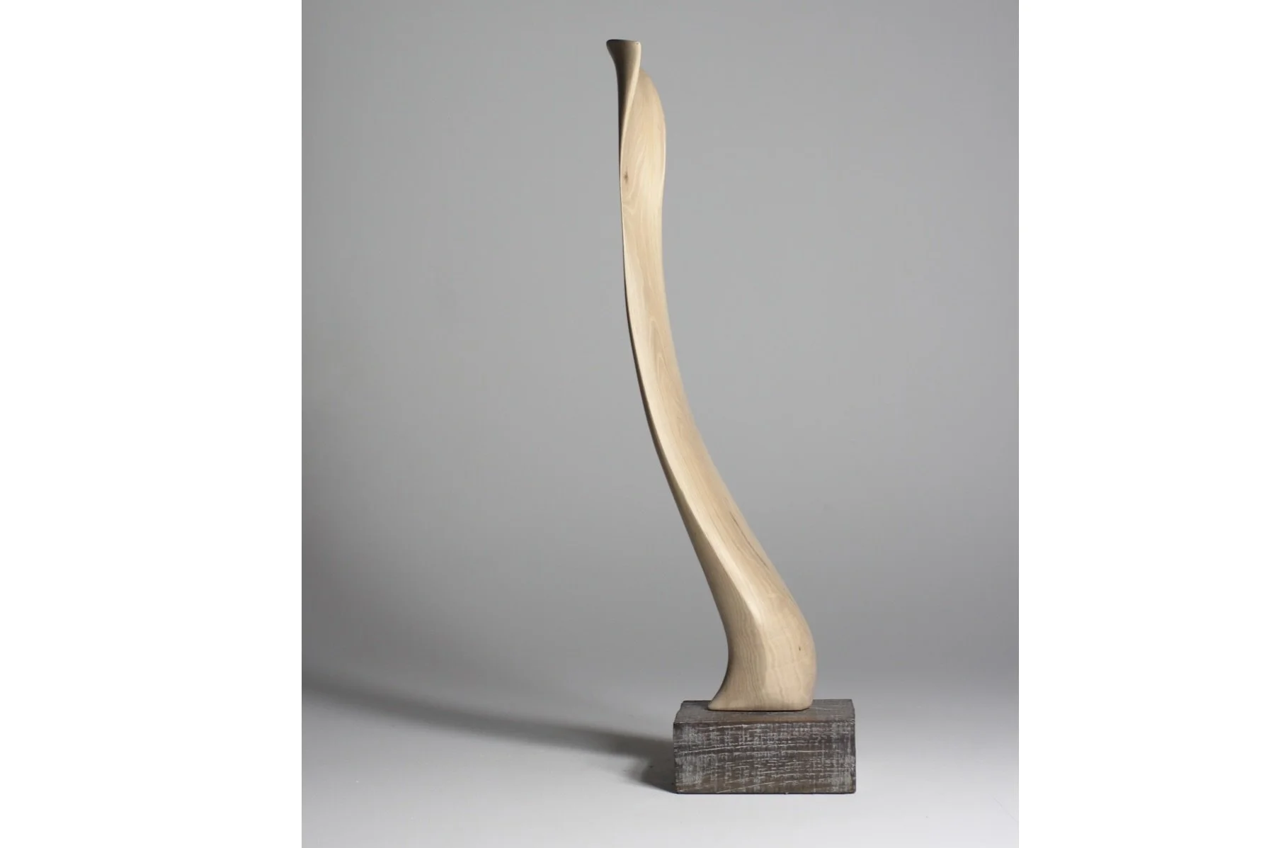 Screenshot 2023-02-06 at 8.15.27 AM.jpeg