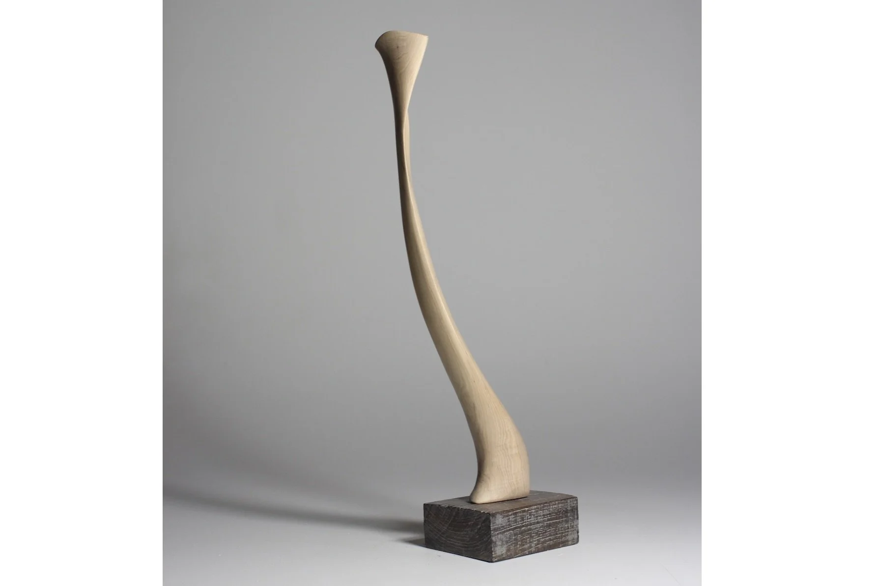 Screenshot 2023-02-06 at 8.32.38 AM.jpeg