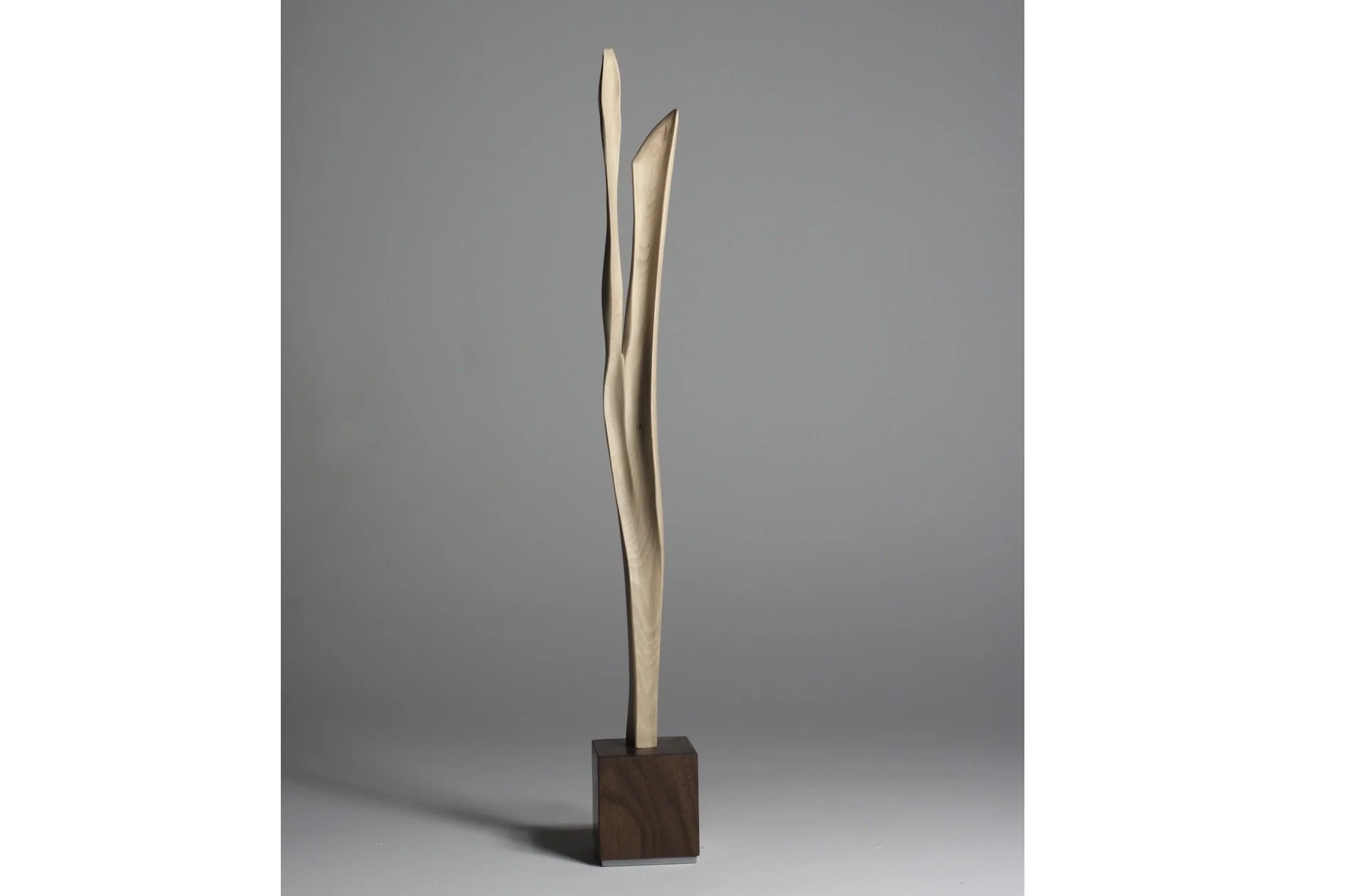 Screenshot 2023-02-06 at 8.48.50 AM.jpeg