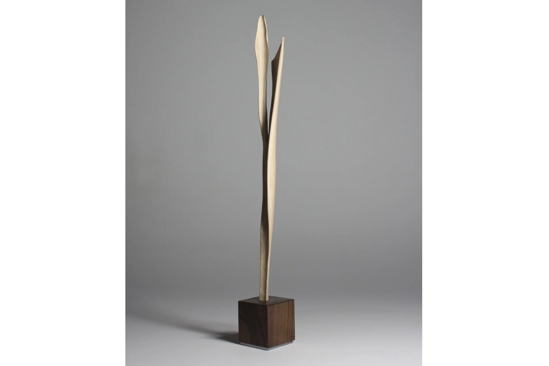 Screenshot 2023-02-06 at 8.48.59 AM.jpeg