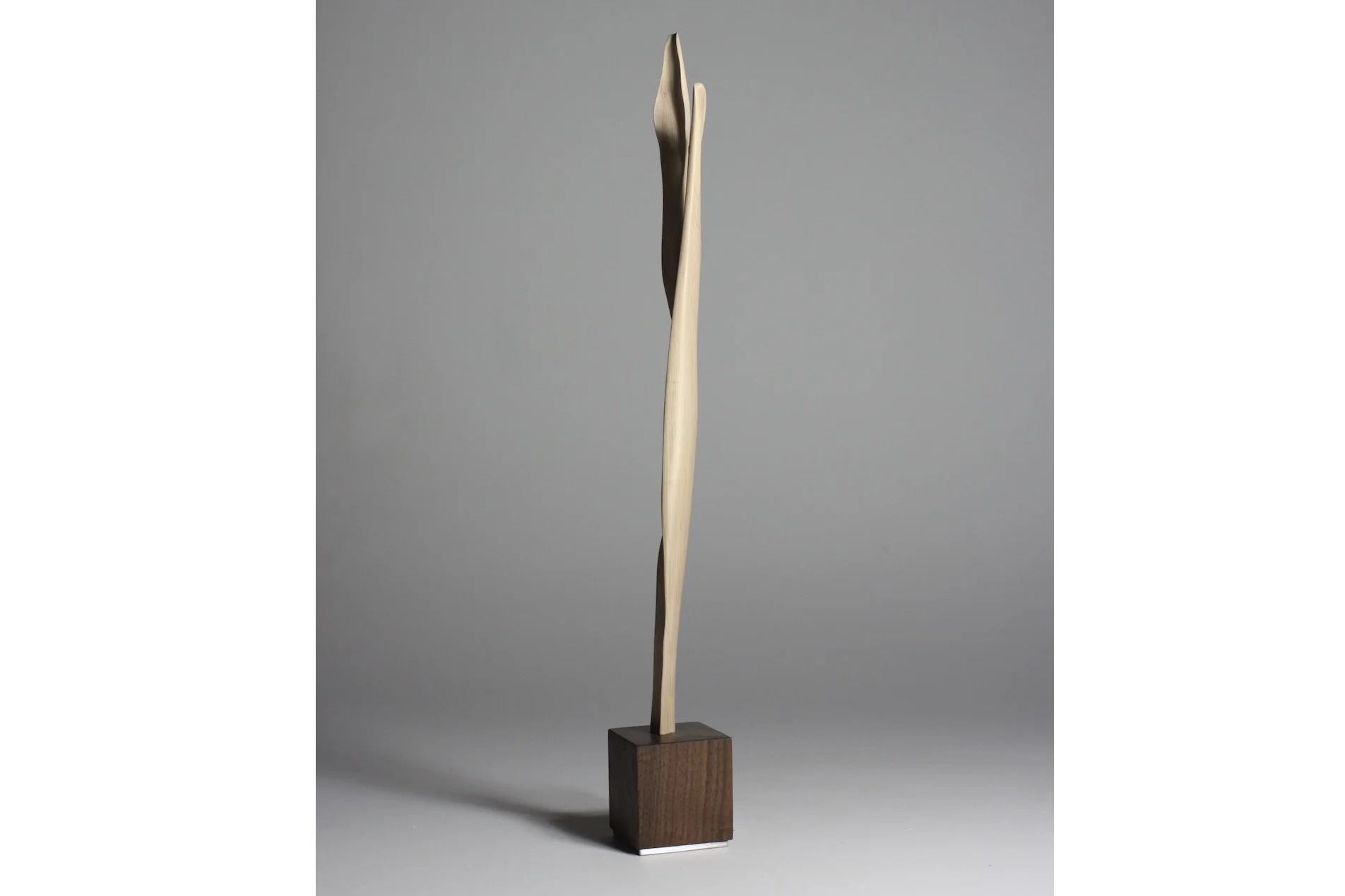 Screenshot 2023-02-06 at 8.49.11 AM.jpeg