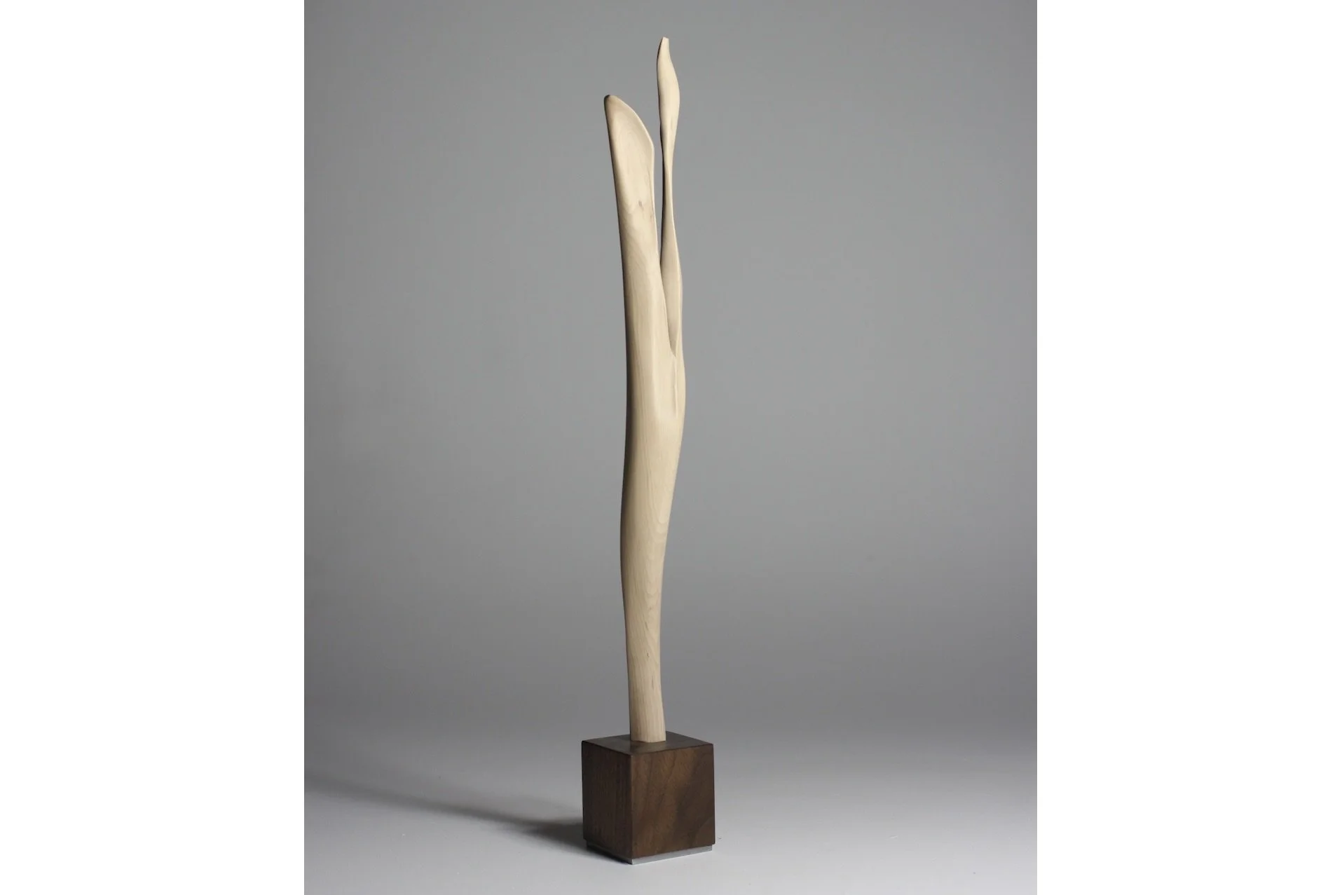 Screenshot 2023-02-06 at 8.49.19 AM.jpeg