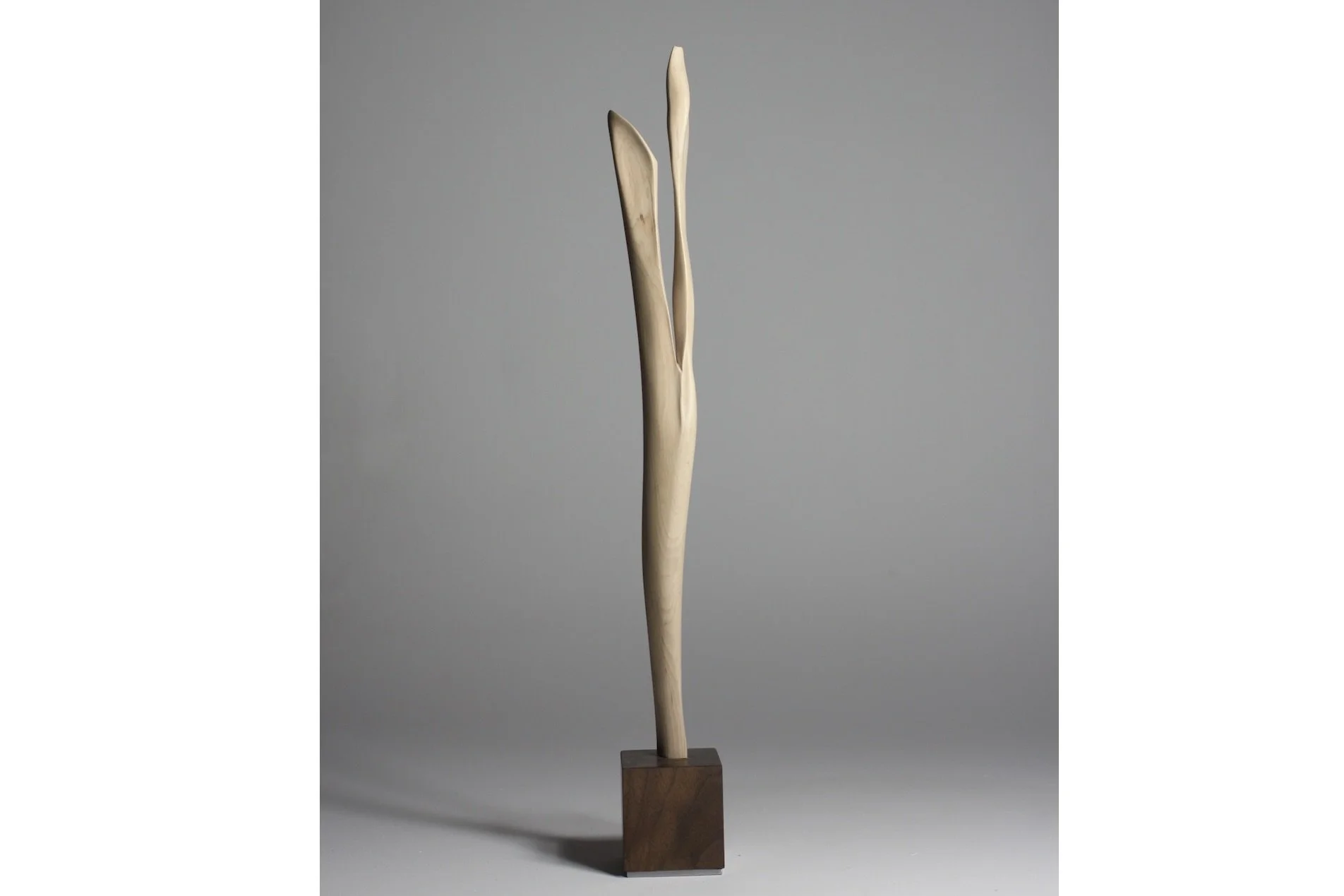 Screenshot 2023-02-06 at 8.49.40 AM.jpeg