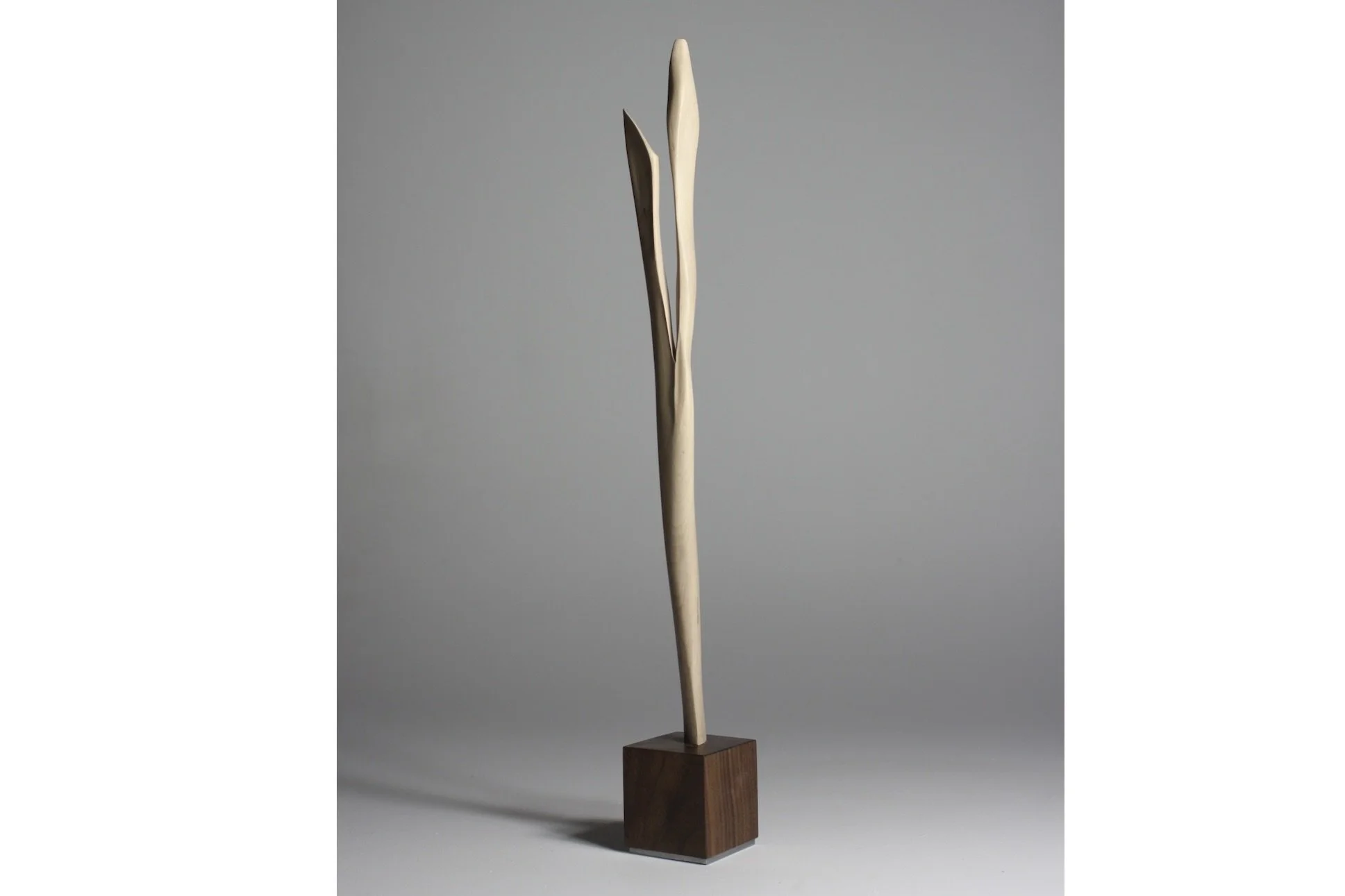 Screenshot 2023-02-06 at 8.49.51 AM.jpeg