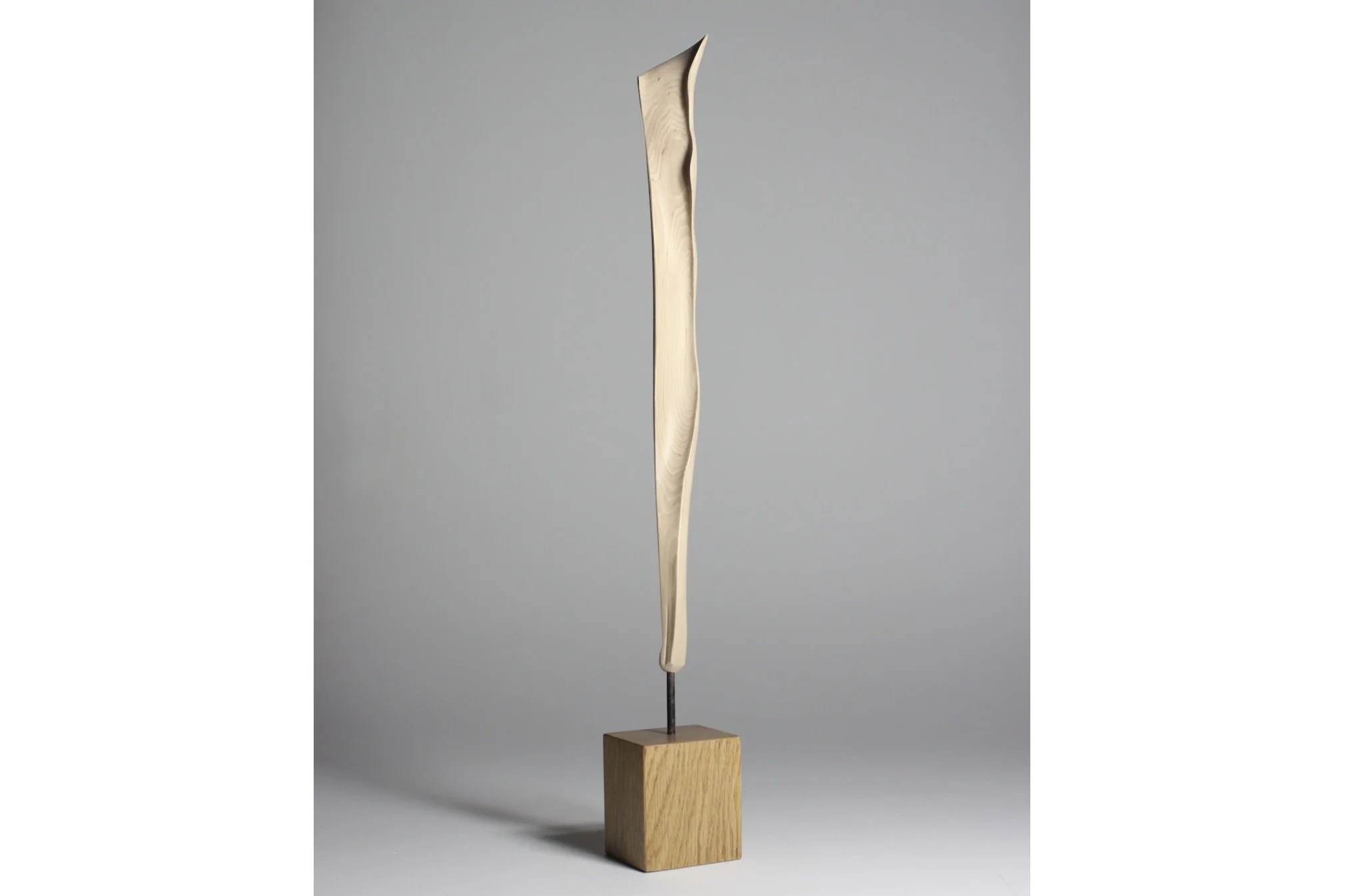 Screenshot 2023-02-06 at 8.59.54 AM.jpeg