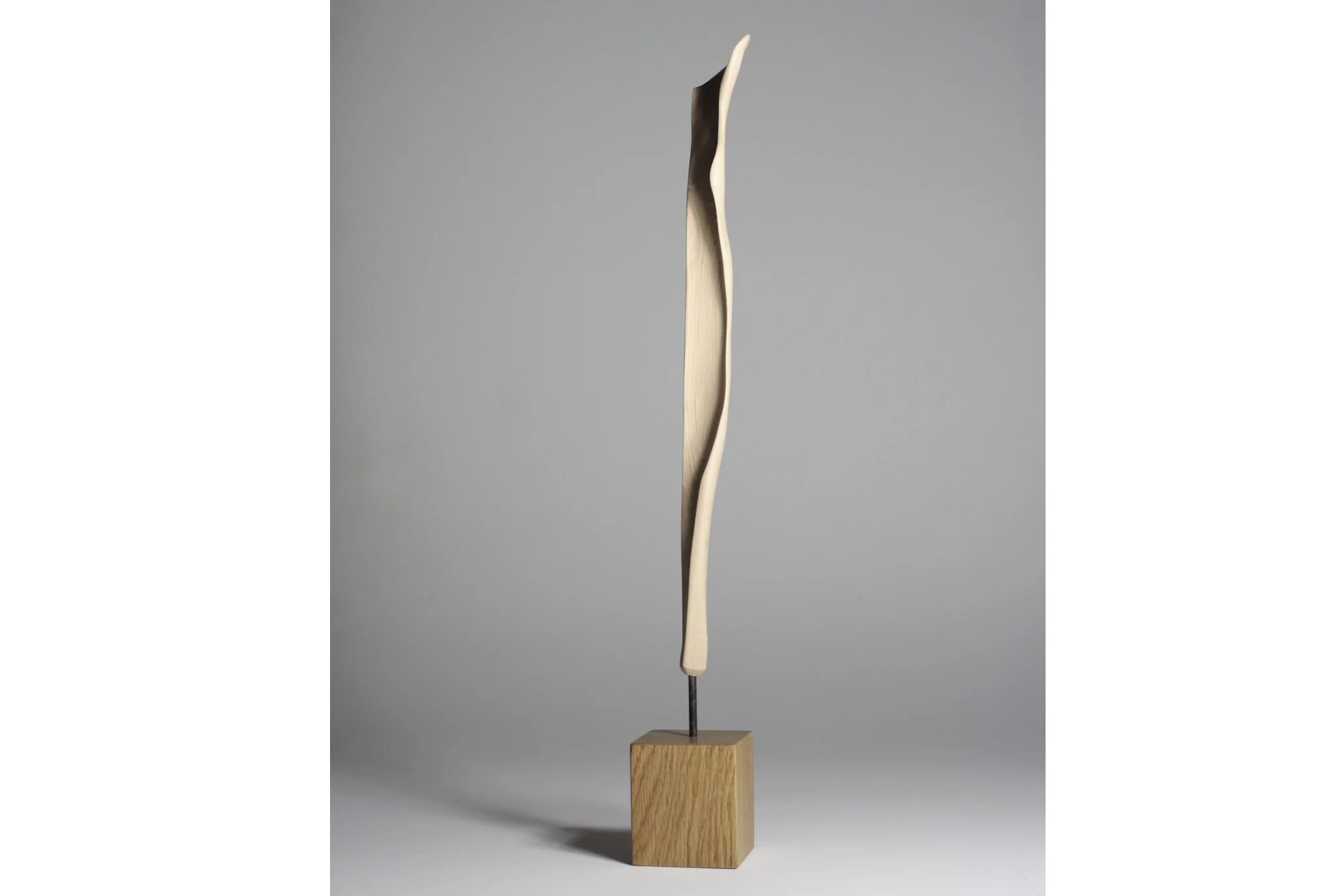 Screenshot 2023-02-06 at 9.00.03 AM.jpeg